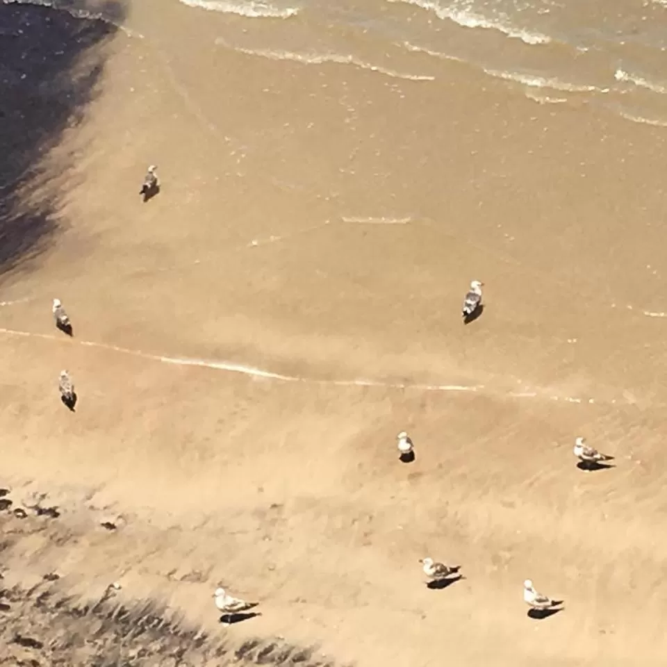 Sea view in Hotel La Española