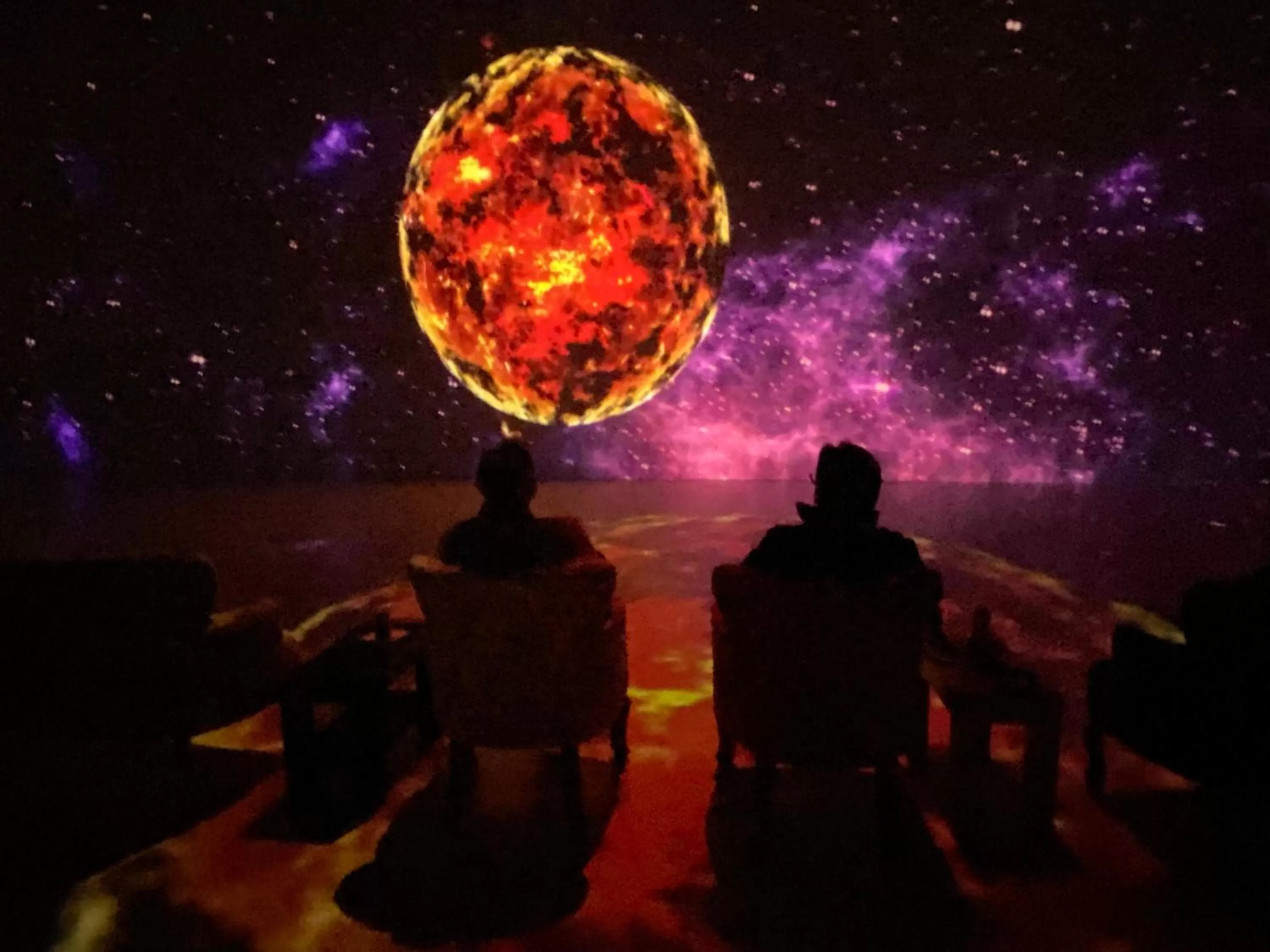 Activities in Hotel La Casa de los Árboles Immersive Experience