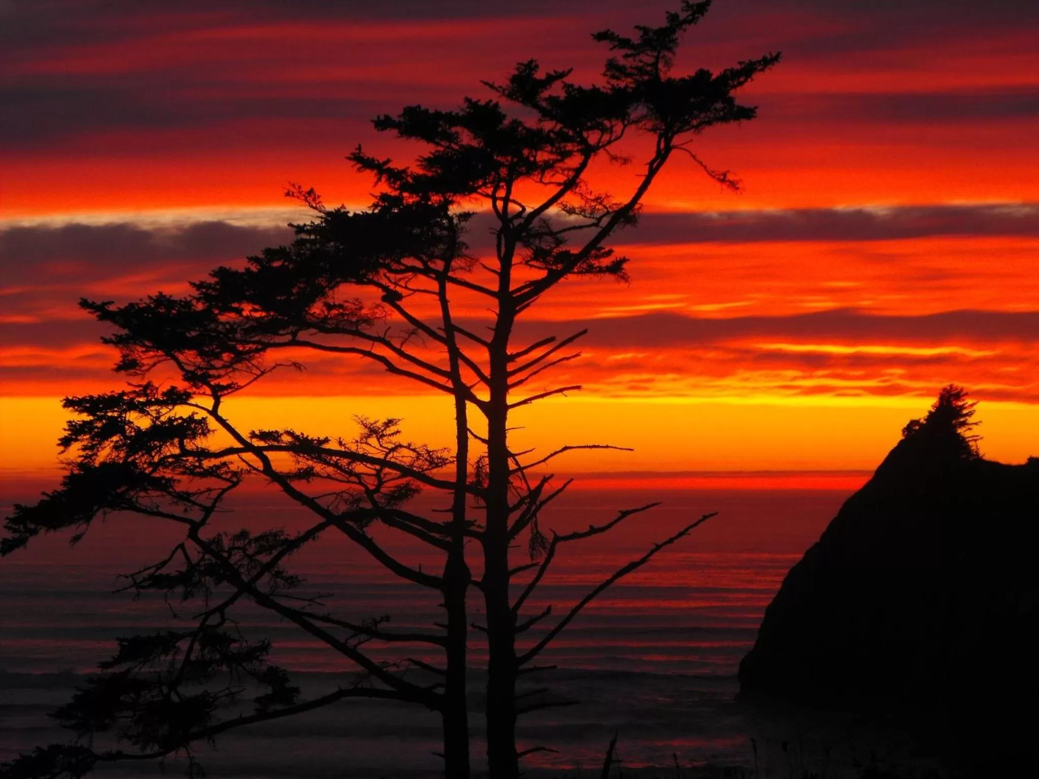 Natural landscape, Sunrise/Sunset in Agate Beach Motel