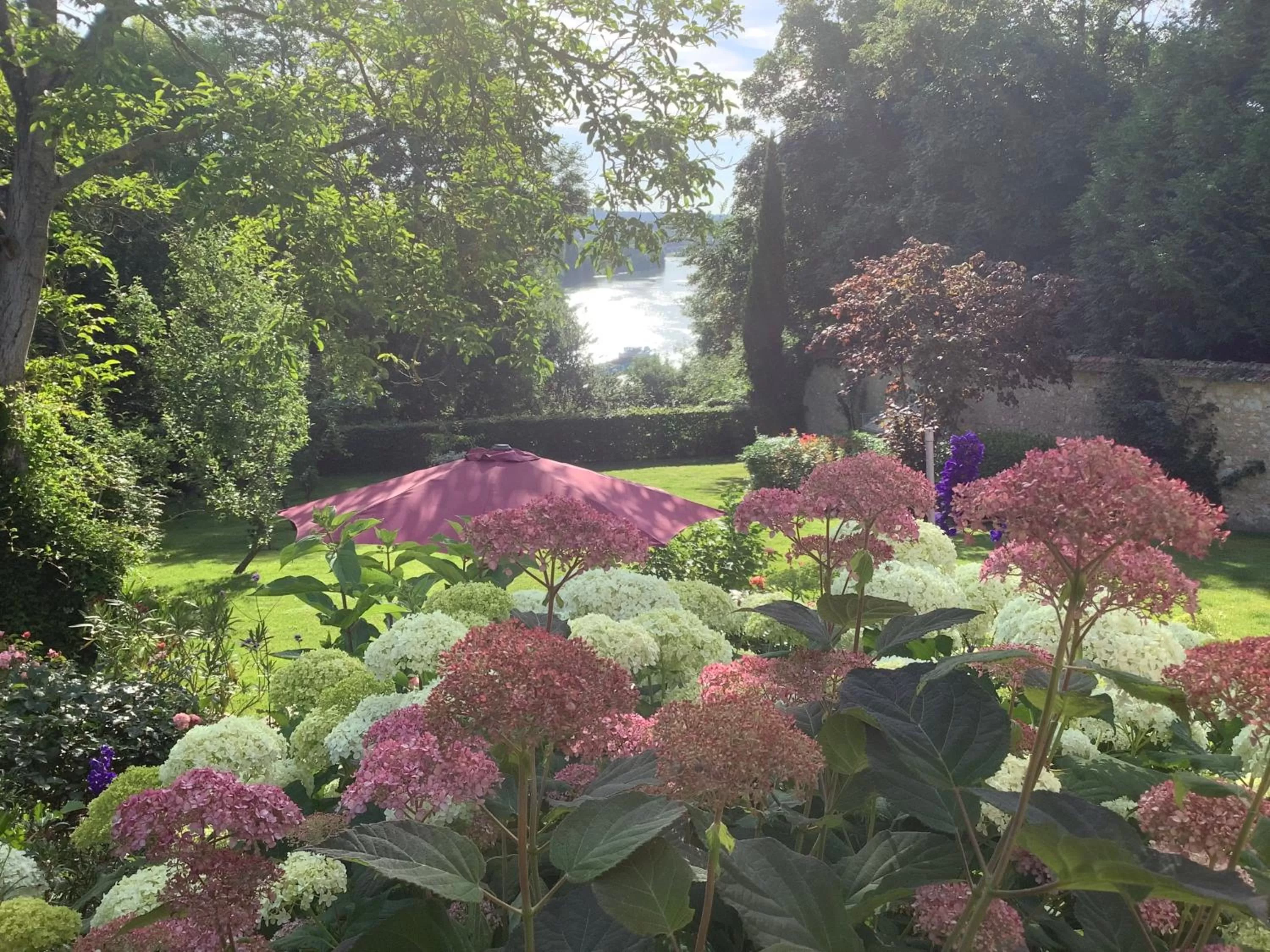 Garden view in Toute Une Histoire près de Fontainebleau