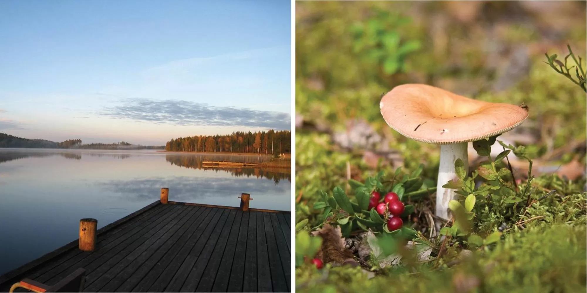 Saimaanranta Resort by Anttolanhovi