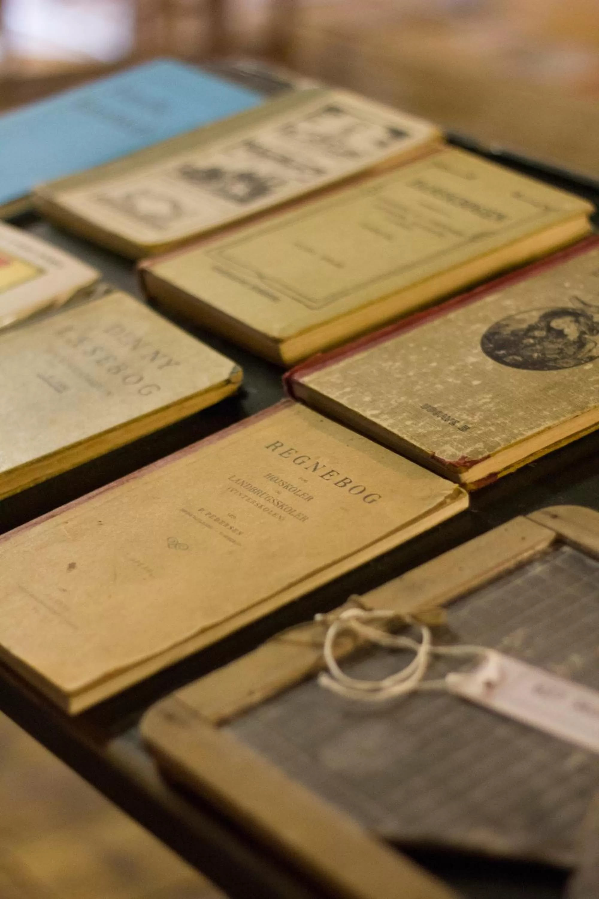 Activities in Rønhave