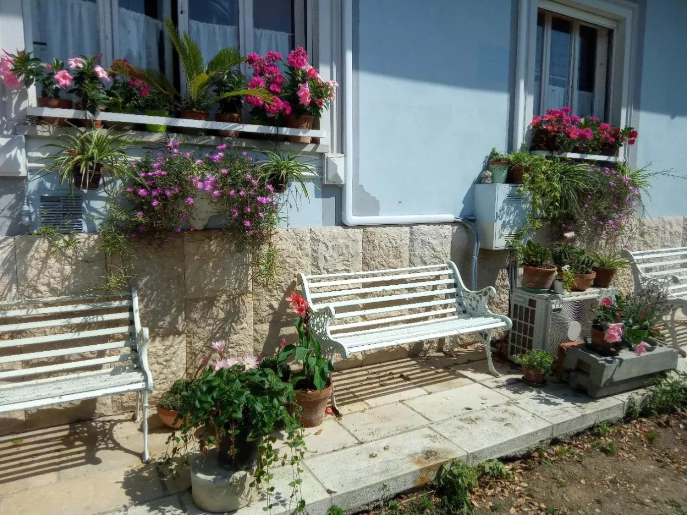 Property building in Villa Fiorita