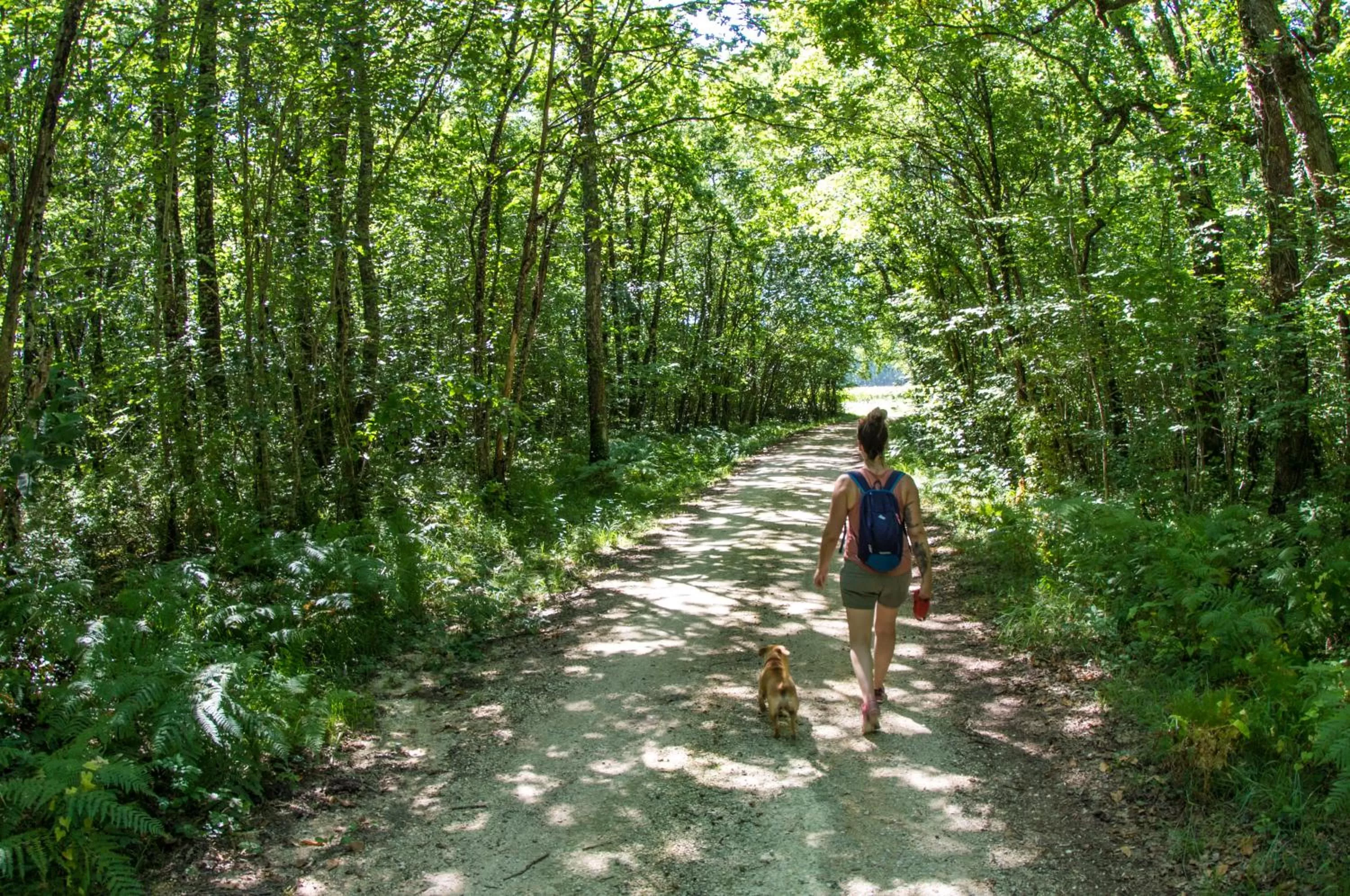 Hiking in ibis Budget Cognac