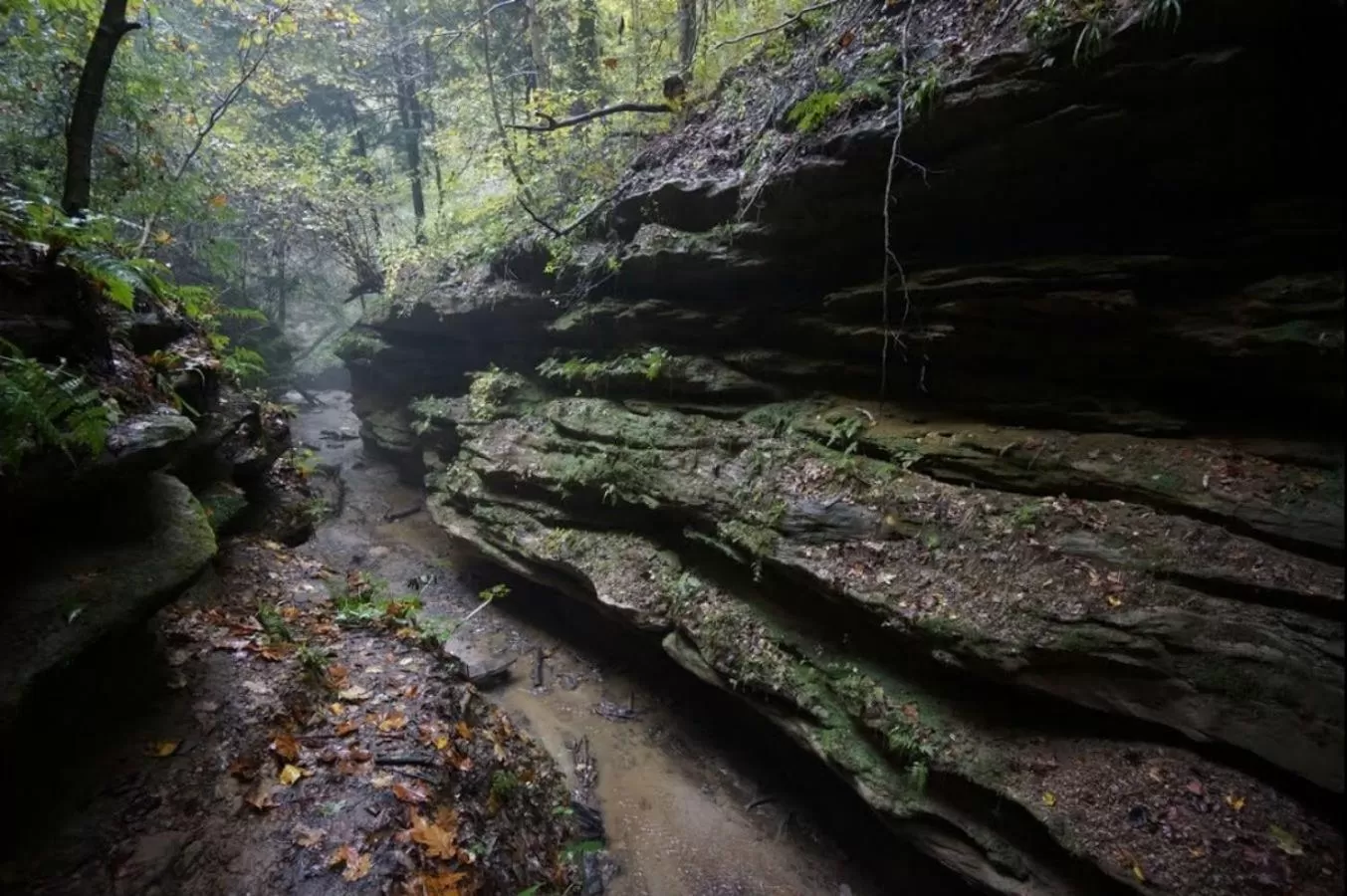 Hiking, Natural Landscape in Turkey Run Inn & Cabins