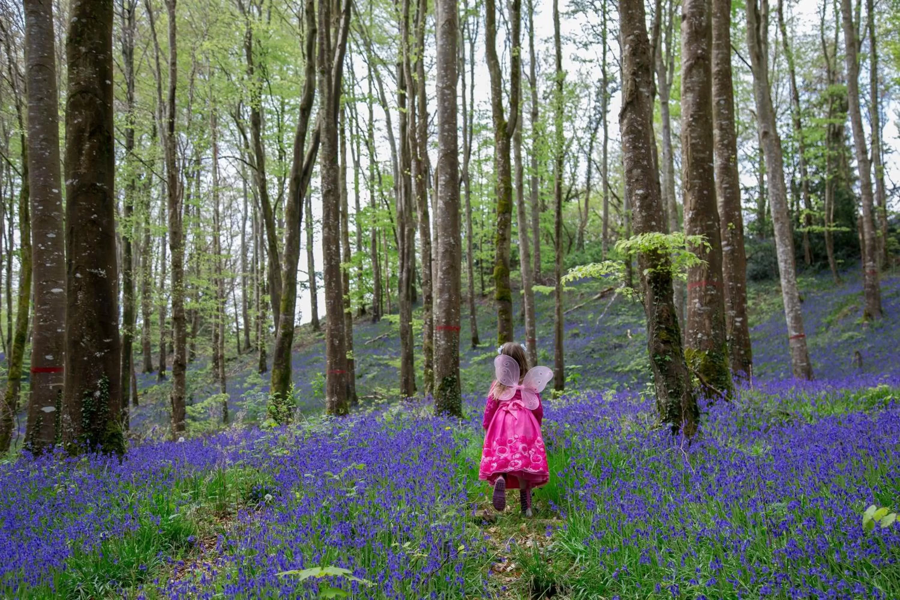 children in Tullamore Court Hotel