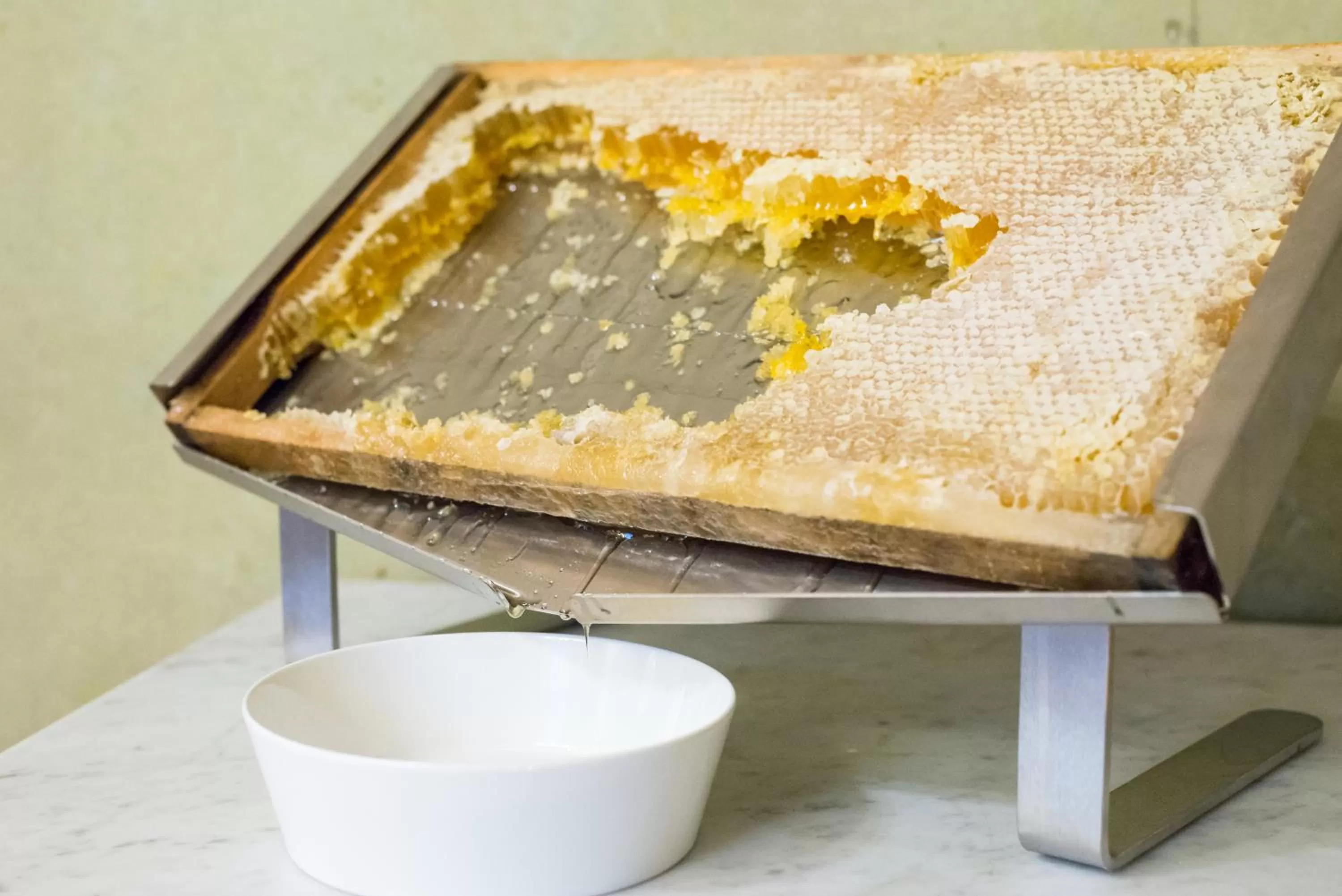 Food and drinks in Boutique & Business Hotel La Tureta