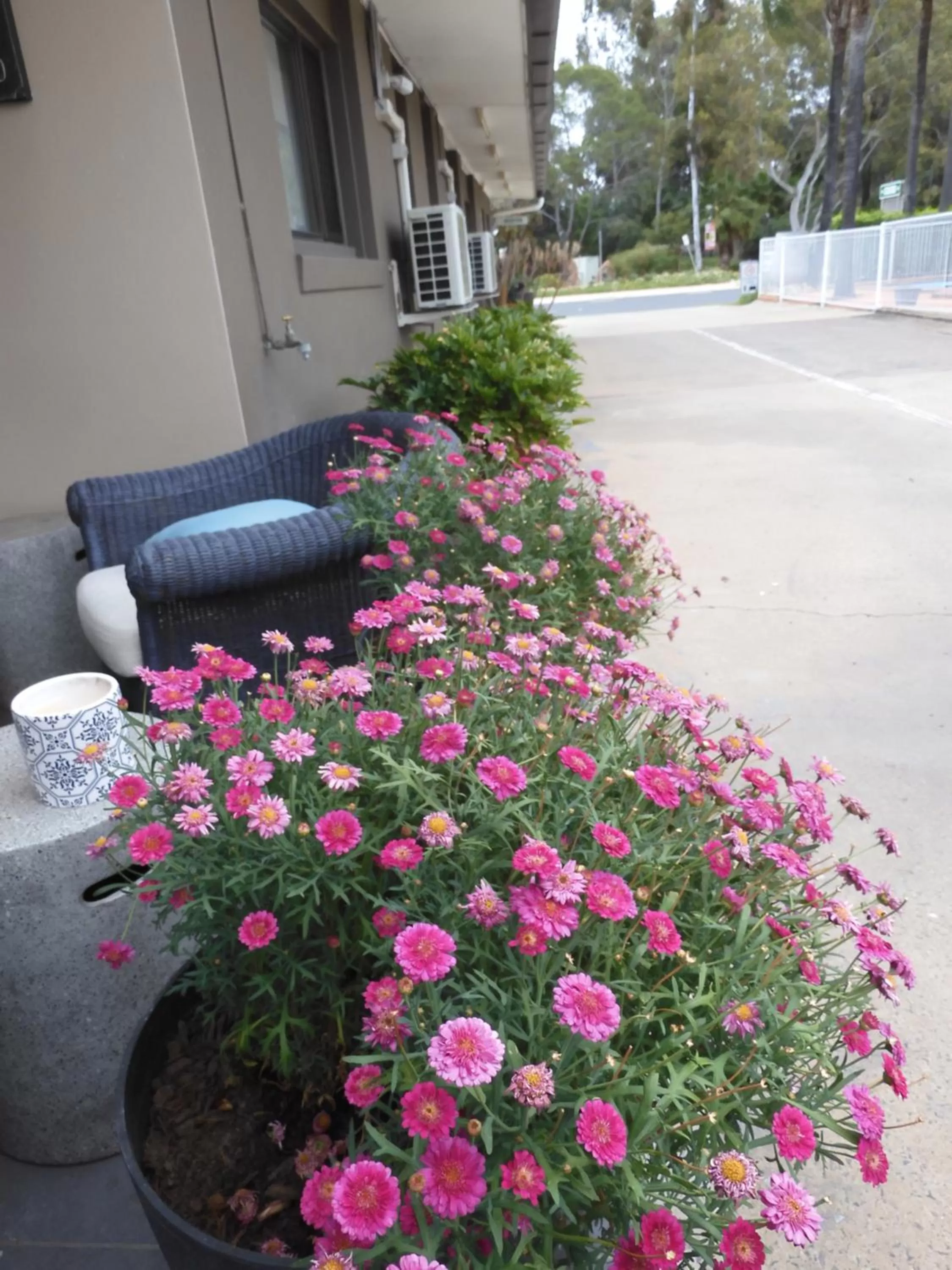 Dalby Parkview Motel