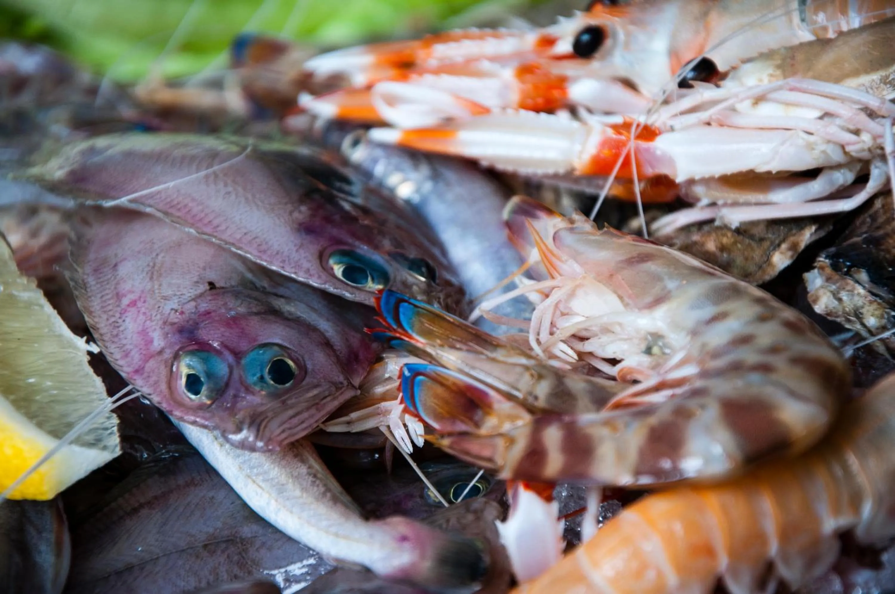 Dinner in Locanda Dal Sor Francesco
