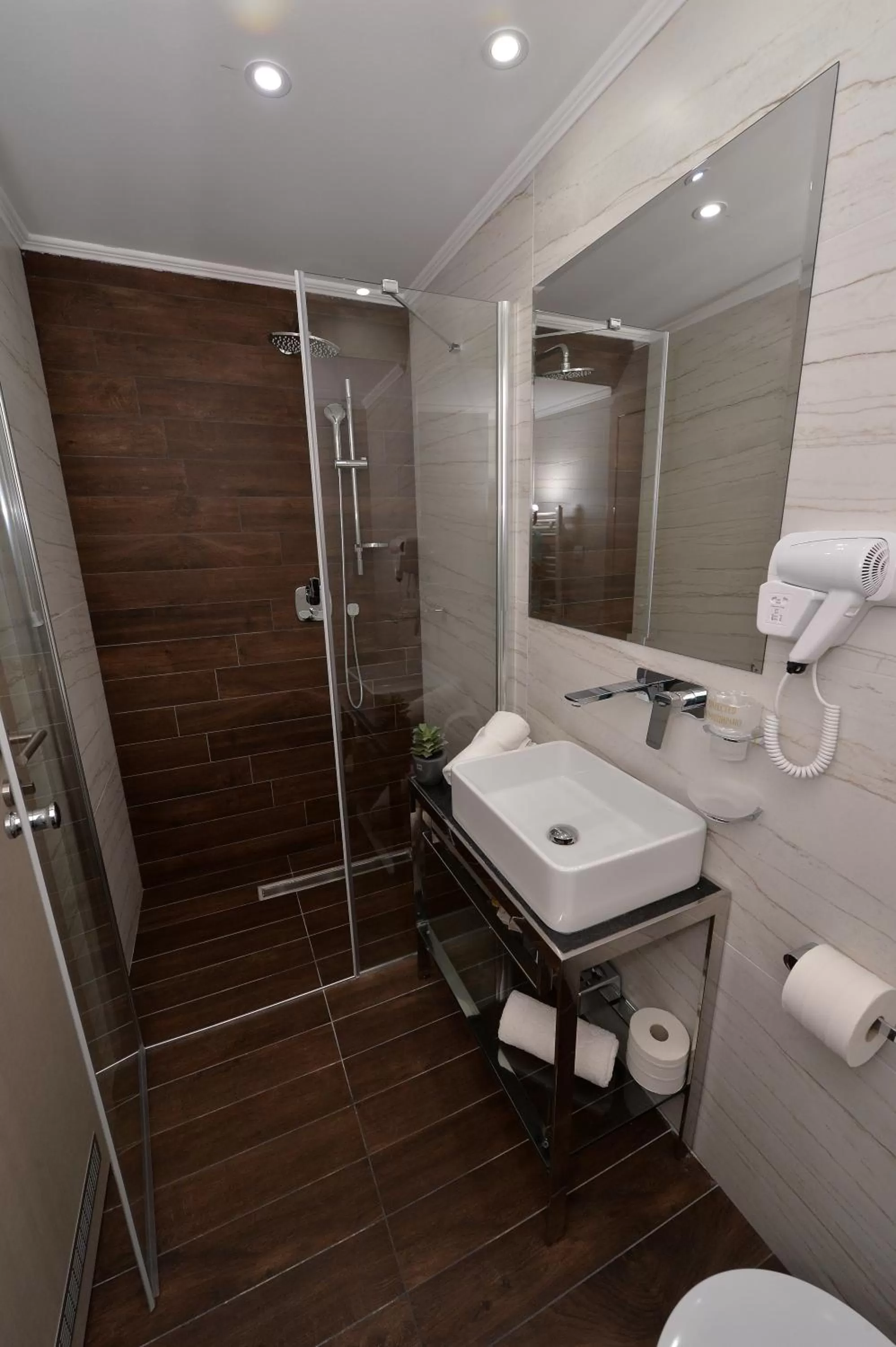 Bathroom in Hotel Alexandar II