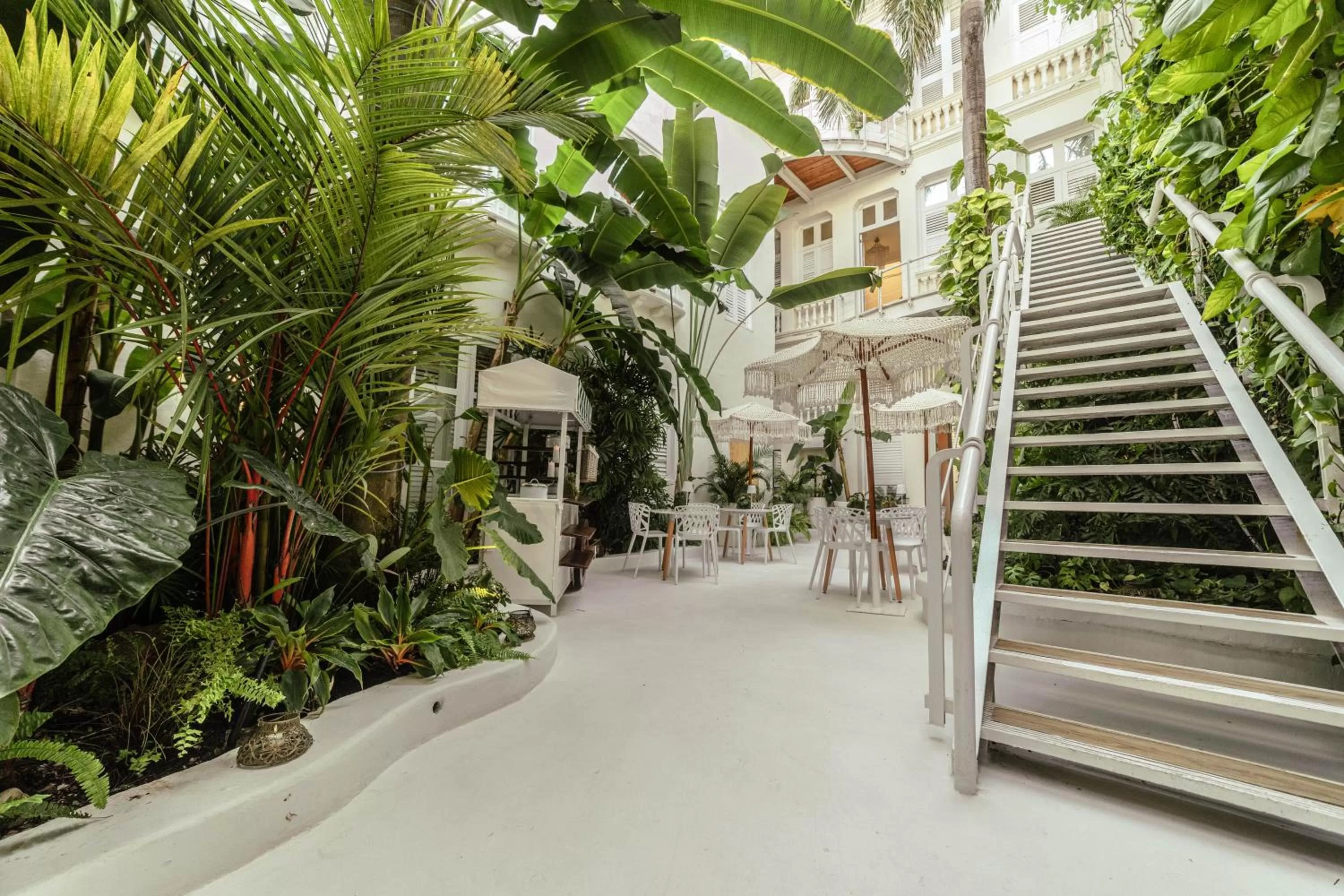 Garden in Casa Diluca Cartagena Hotel Boutique