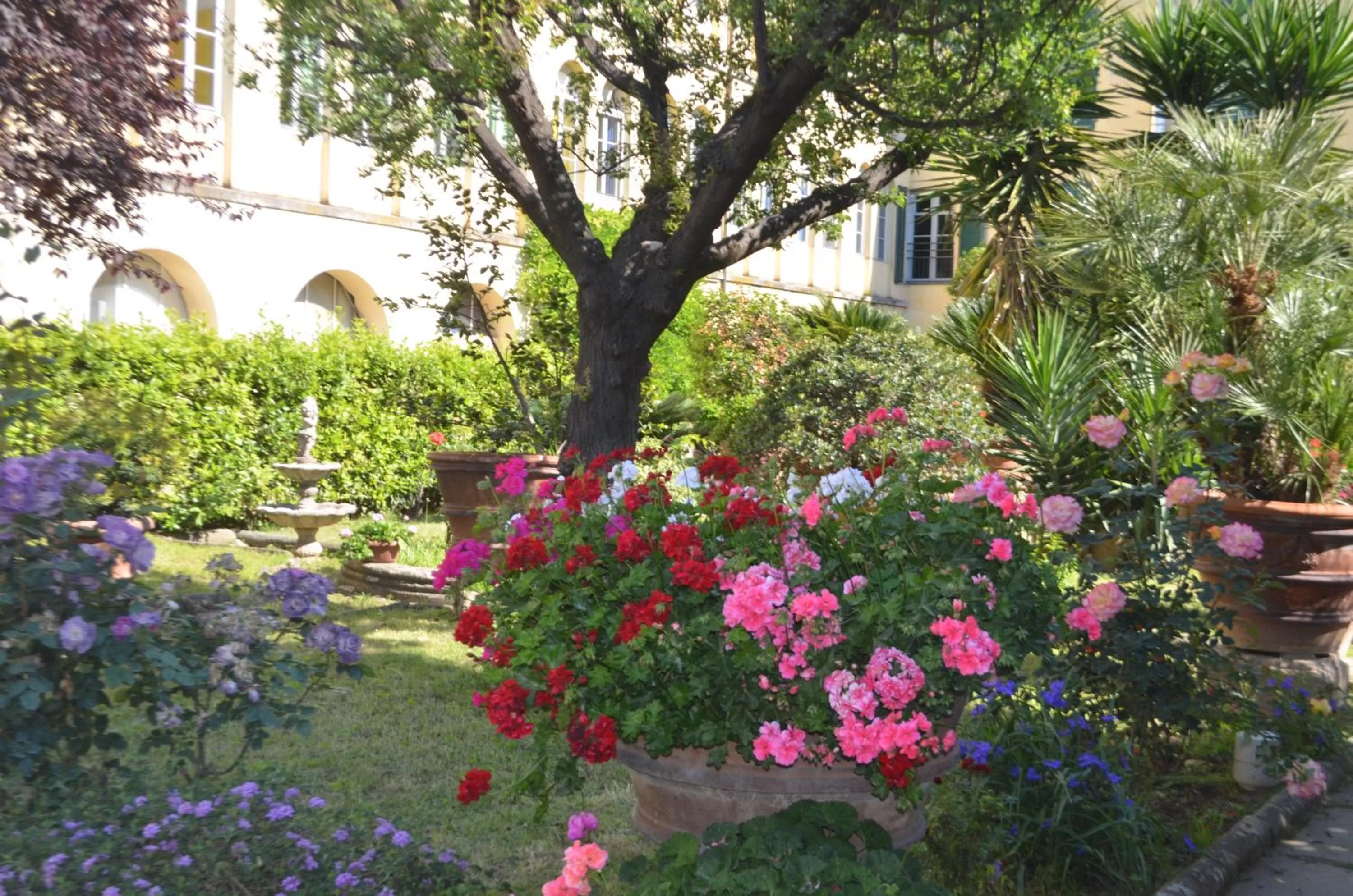 Spring in Casa per ferie religiosa Figlie di Nazareth
