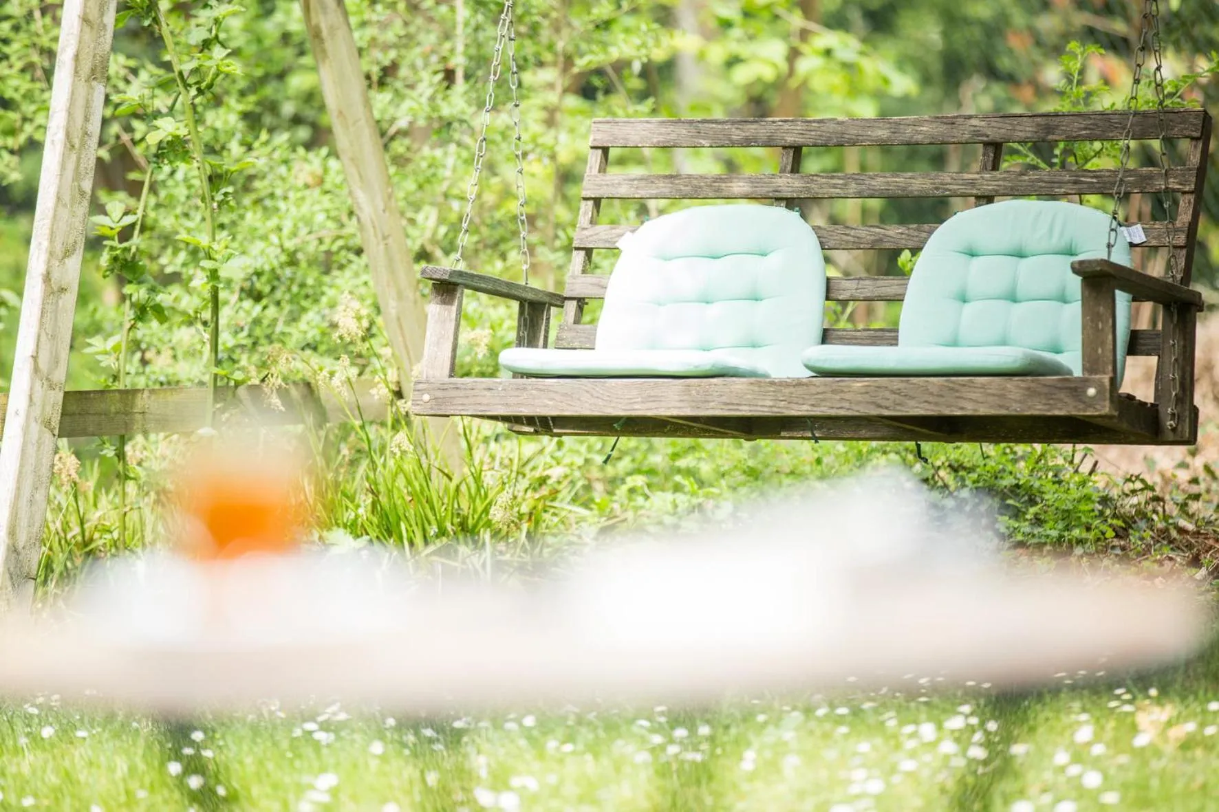 Garden in Villa Arborea