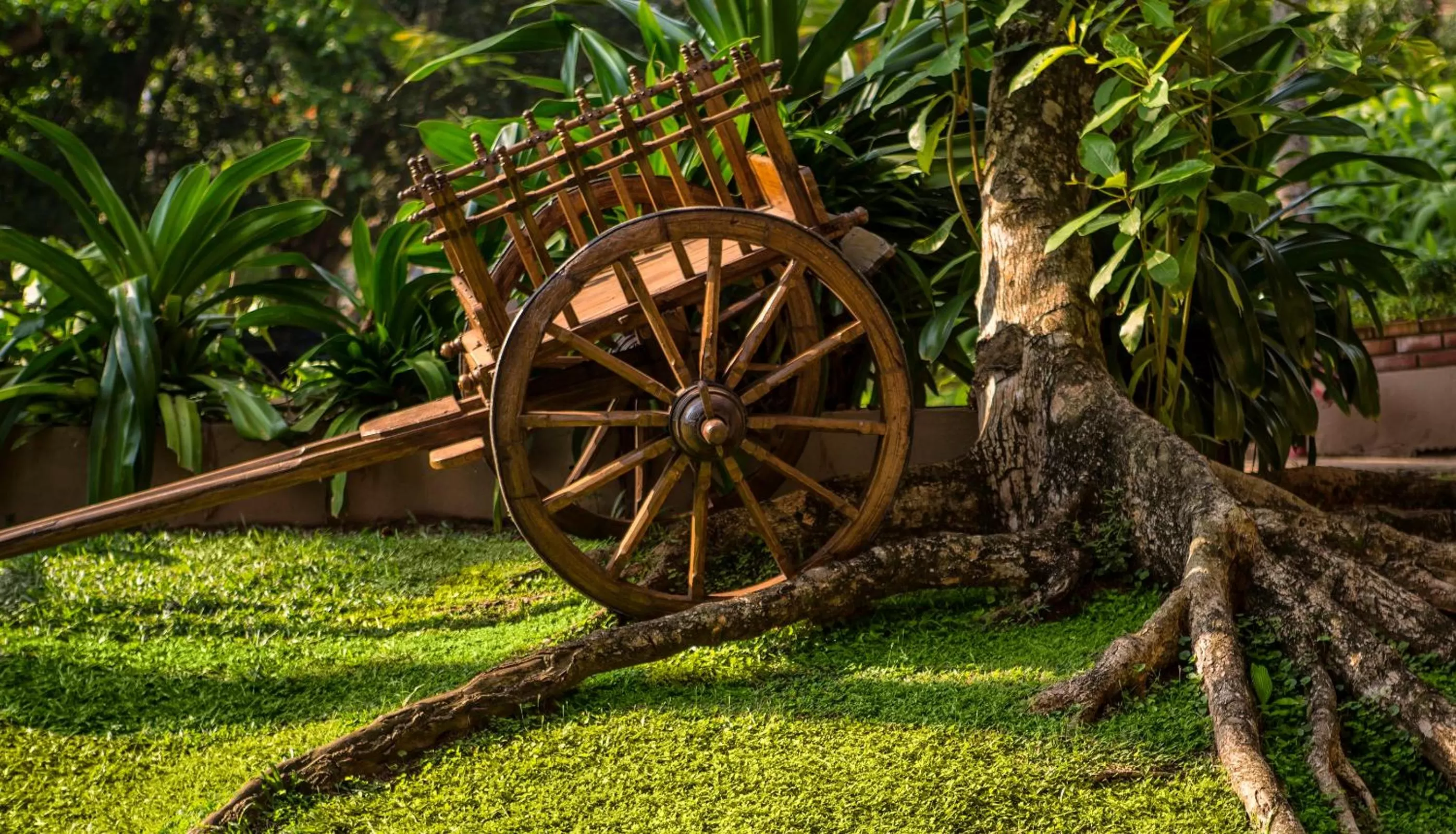 Day in Royal Palms Beach Hotel