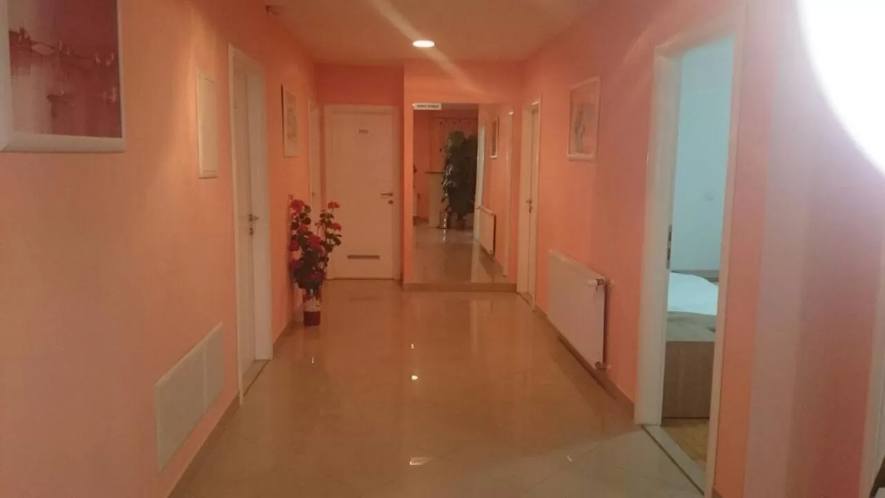 Decorative detail in Lugarnica