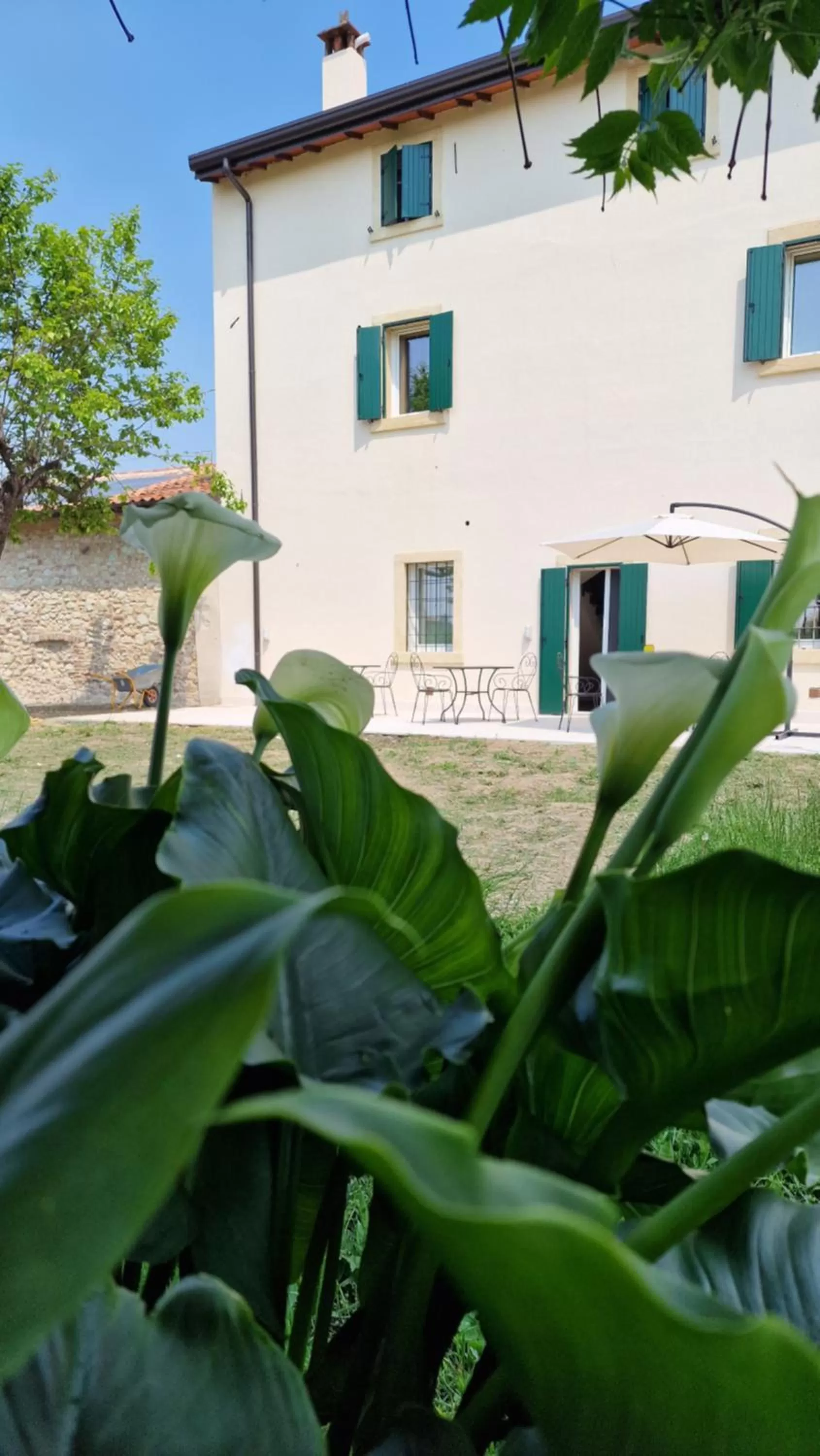 Garden, Property Building in Casa Ossan