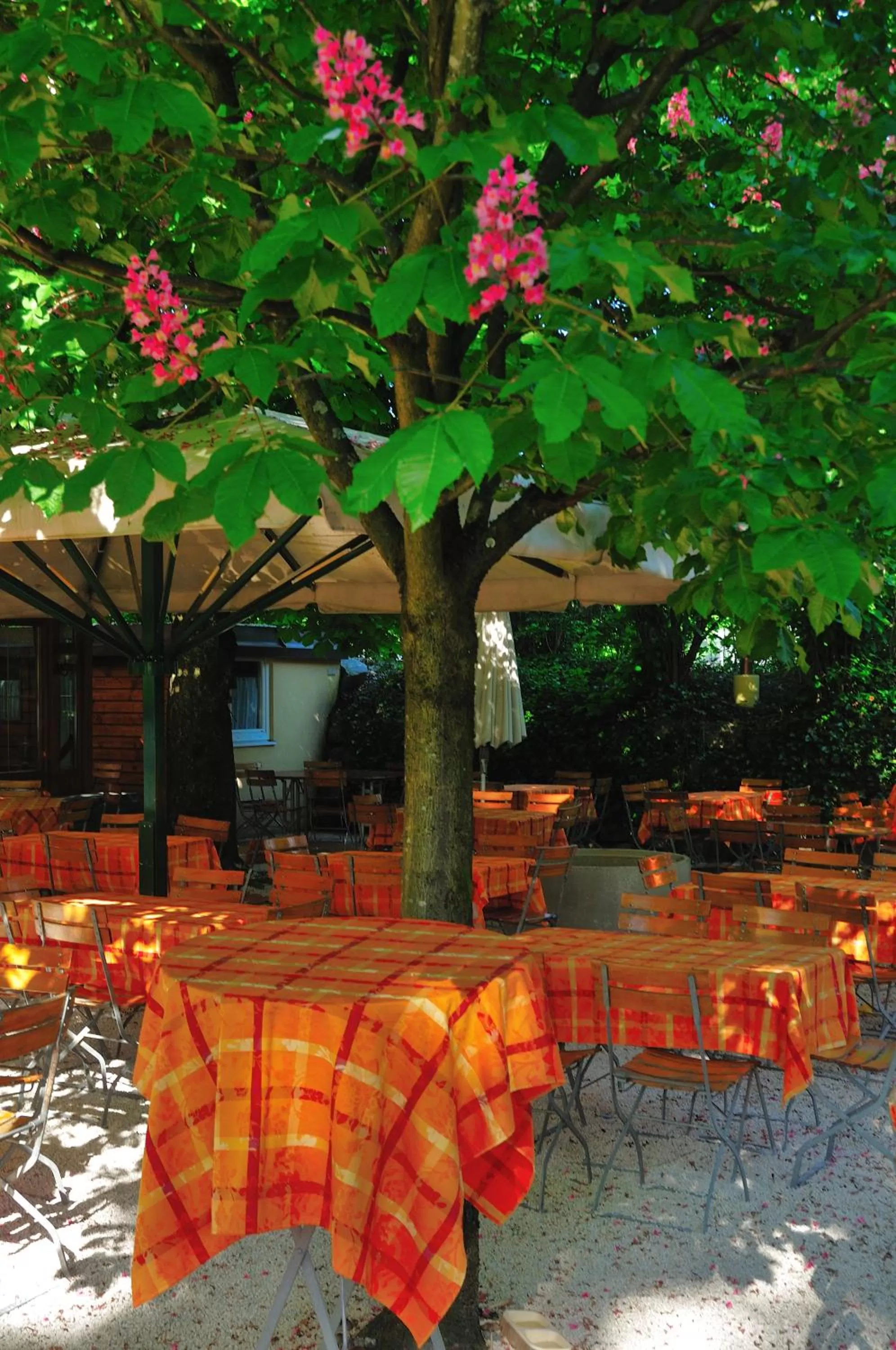 Balcony/Terrace in Austria Classic Hotel Hölle