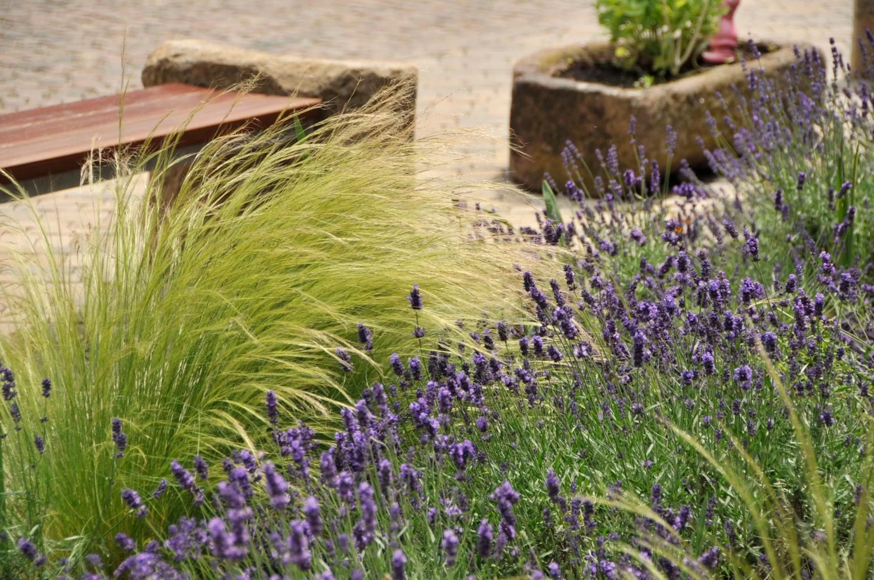 Spring in Hotel Restaurant Zeiskamer Mühle