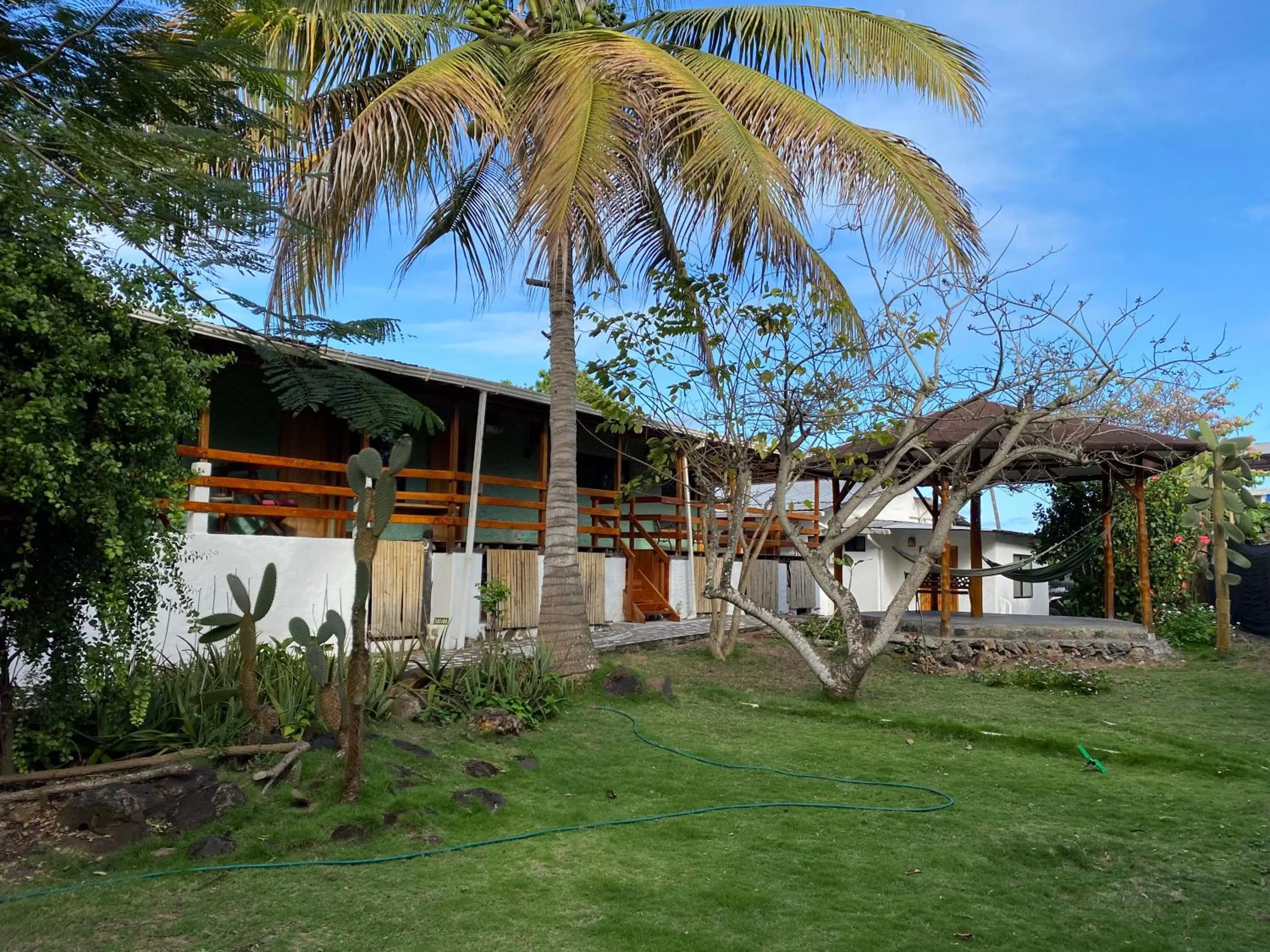Garden, Property Building in La Peregrina Galapagos B&B
