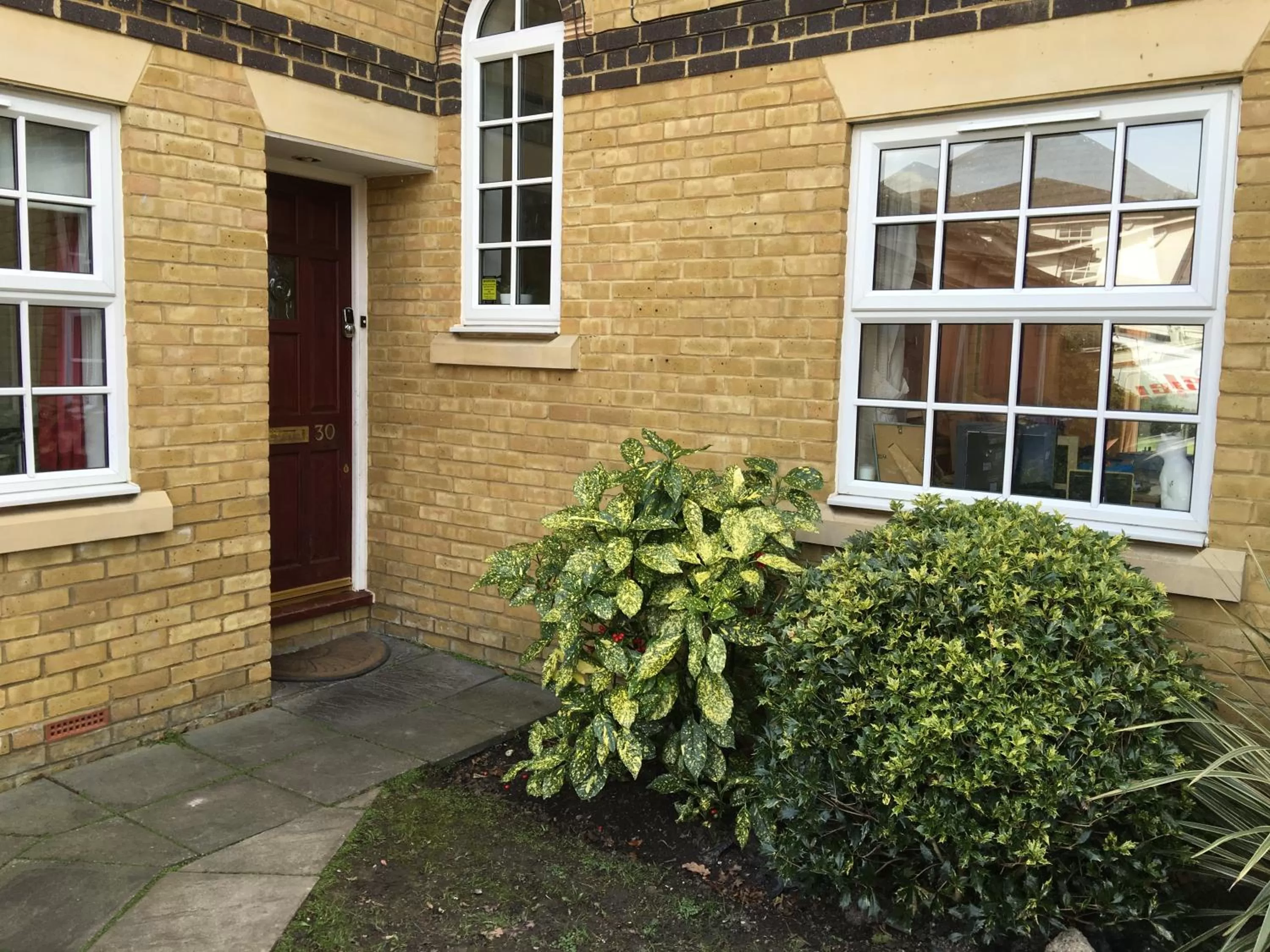 Property Building in SleepNeat