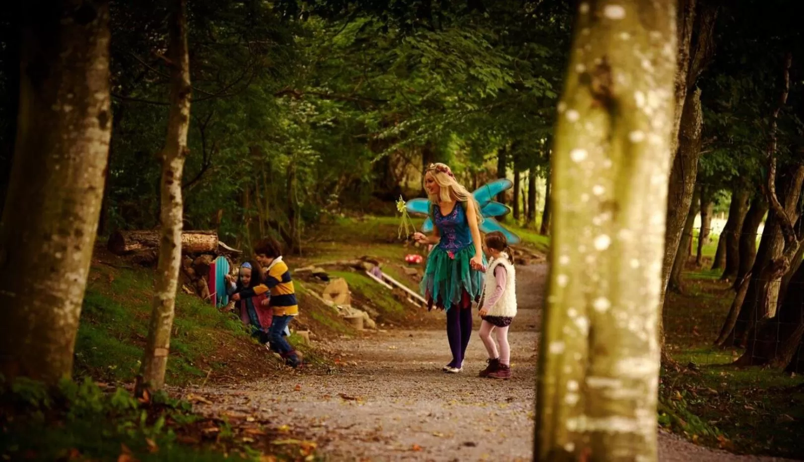 Natural landscape in Newpark Hotel