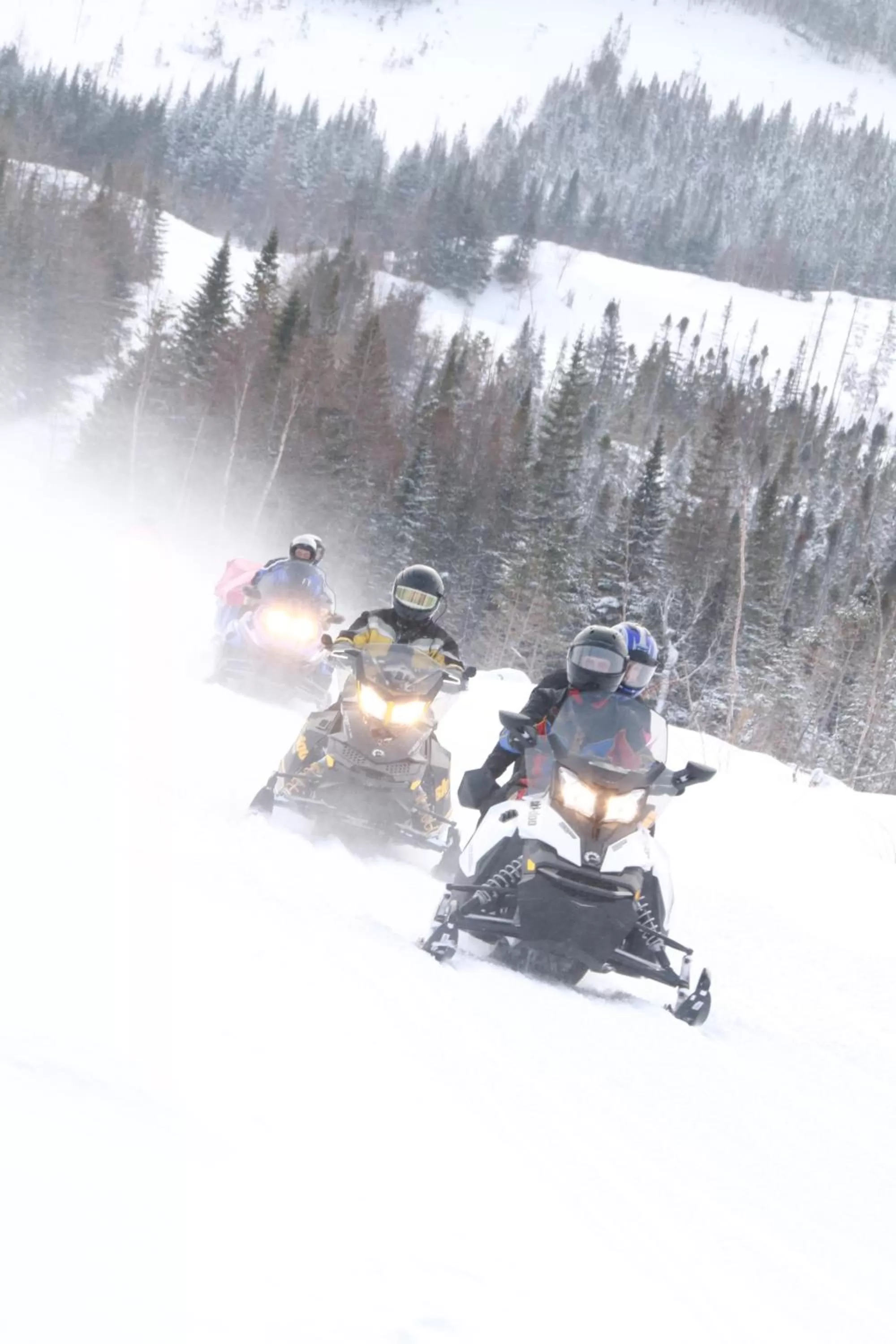 Nearby landmark in Holiday Inn Express Deer Lake, an IHG Hotel