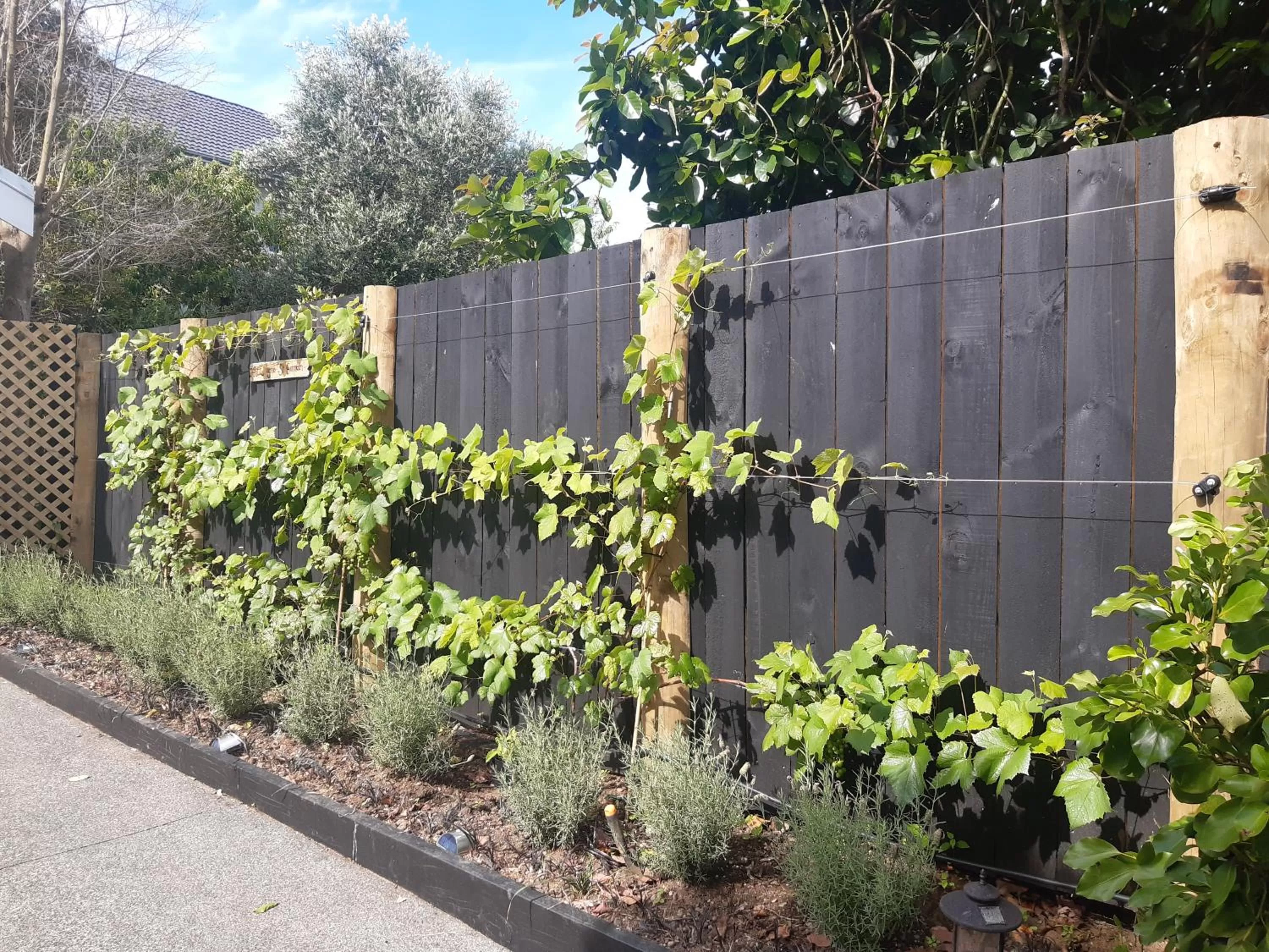 Garden in Harbour View Cottage
