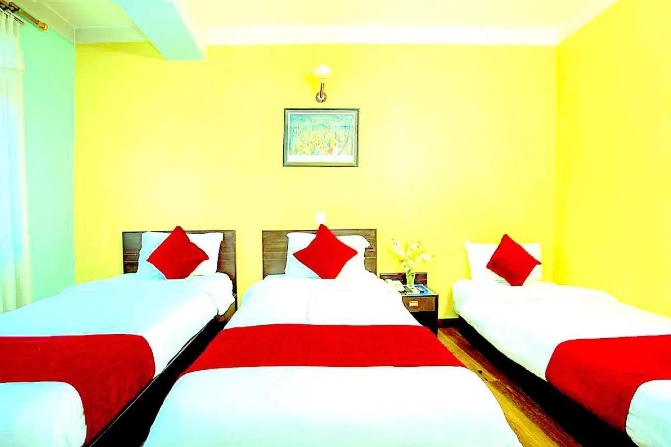 Photo of the whole room in Hotel Access Nepal