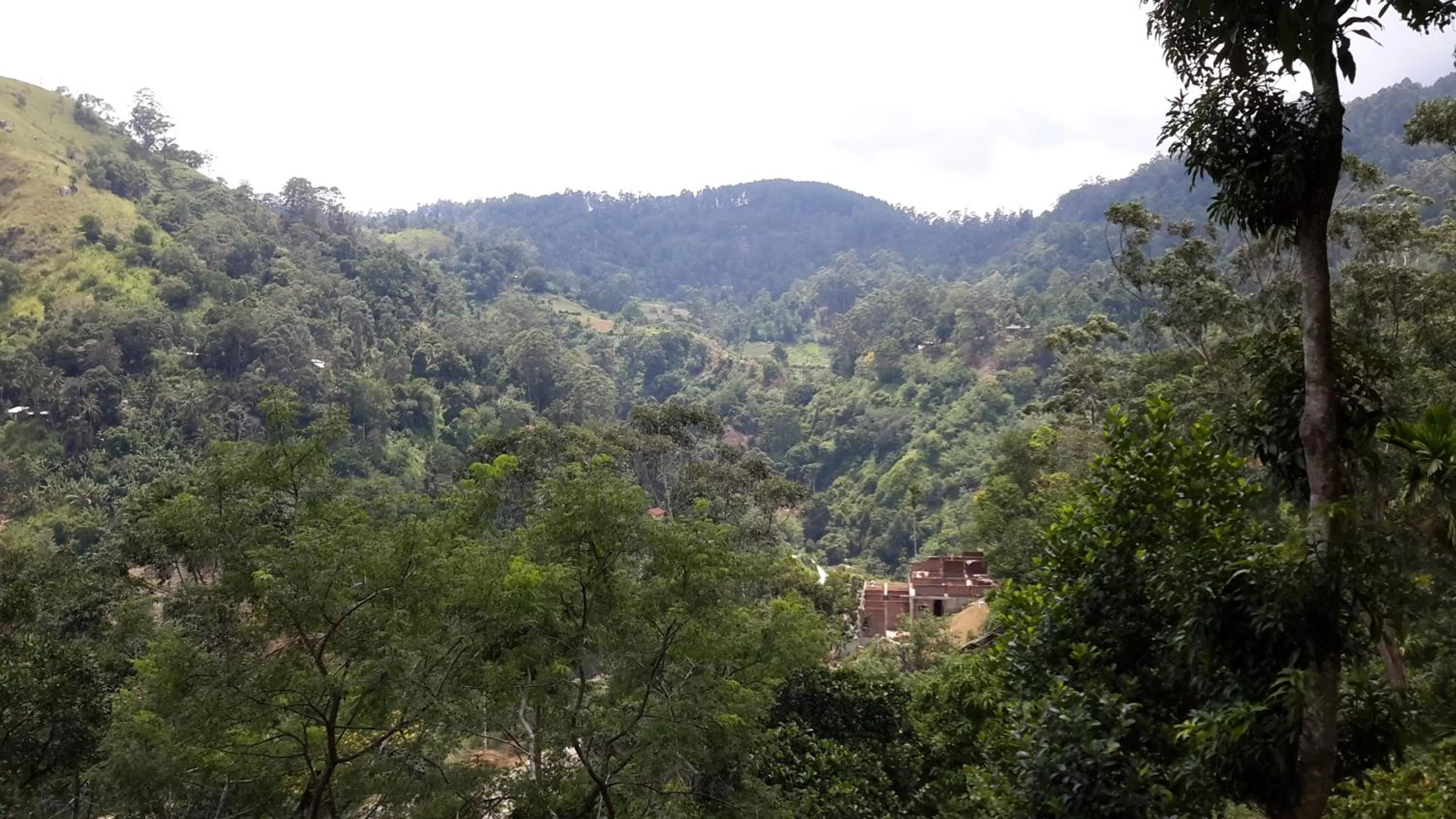 View (from property/room) in Raveena Guest House