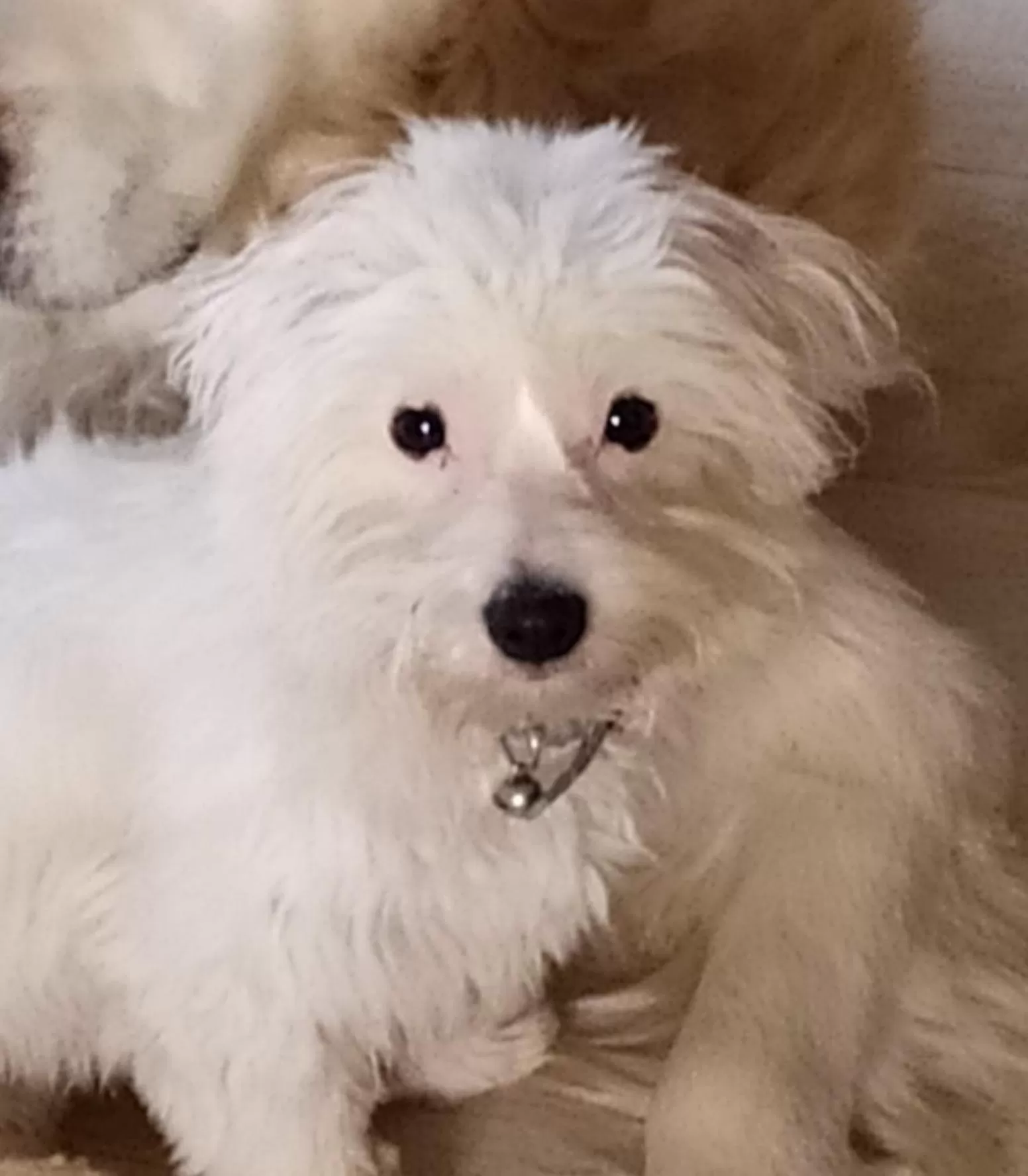 Chambres d'Hôtes Nature et bois BED AND BREAKFAST