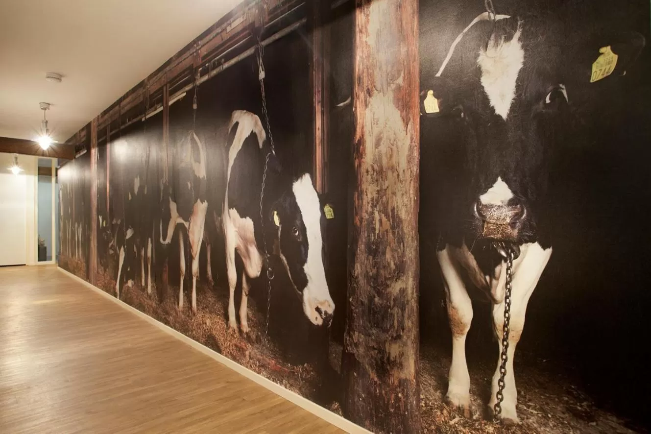 Hotel B&B Hoeve de Vredenhof