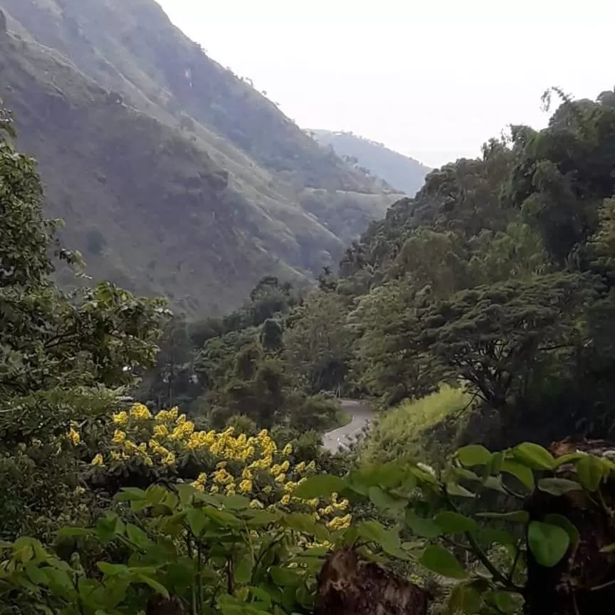 Ella Lucky Panoramic