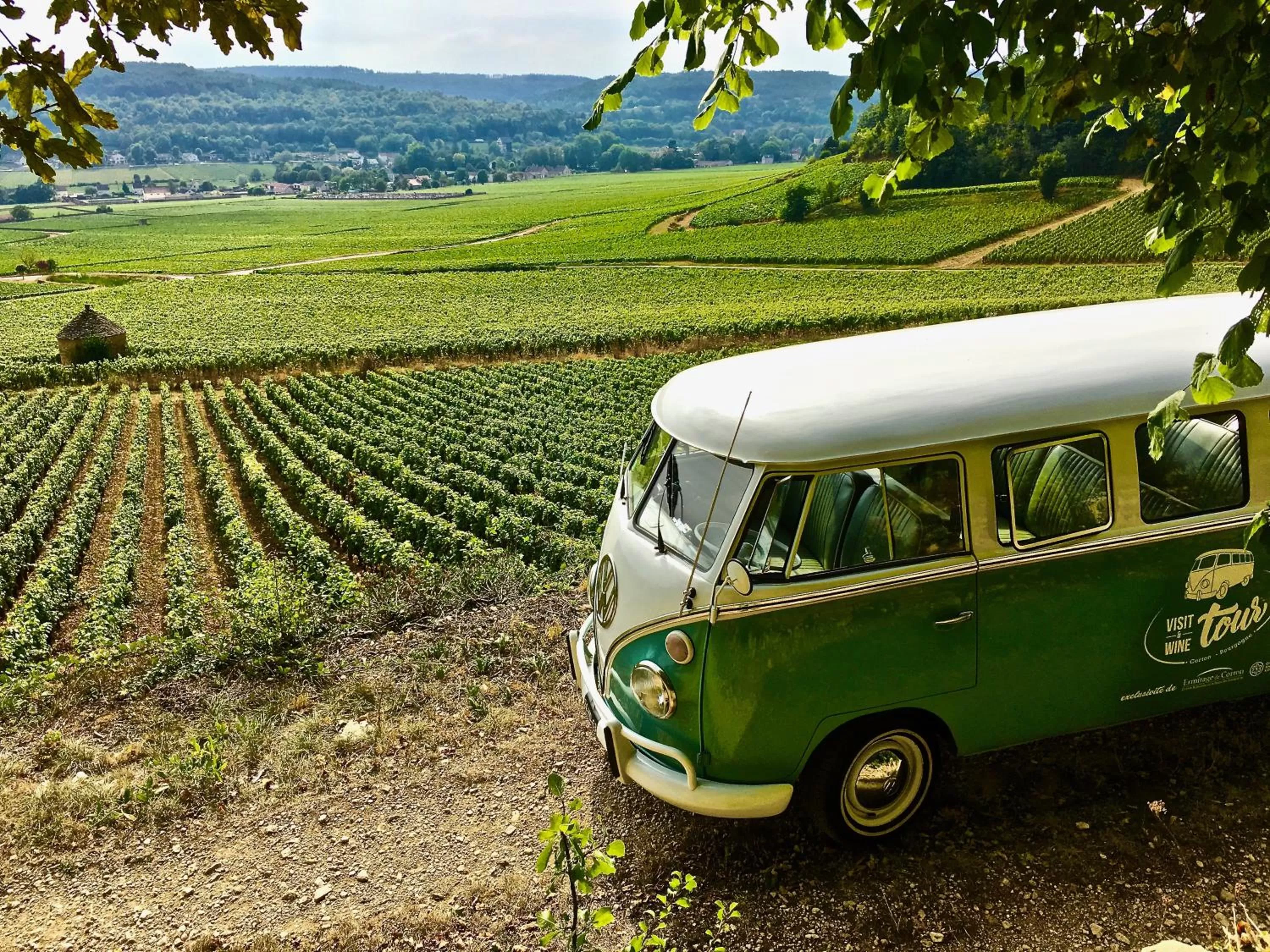 Entertainment in Ermitage De Corton - Teritoria