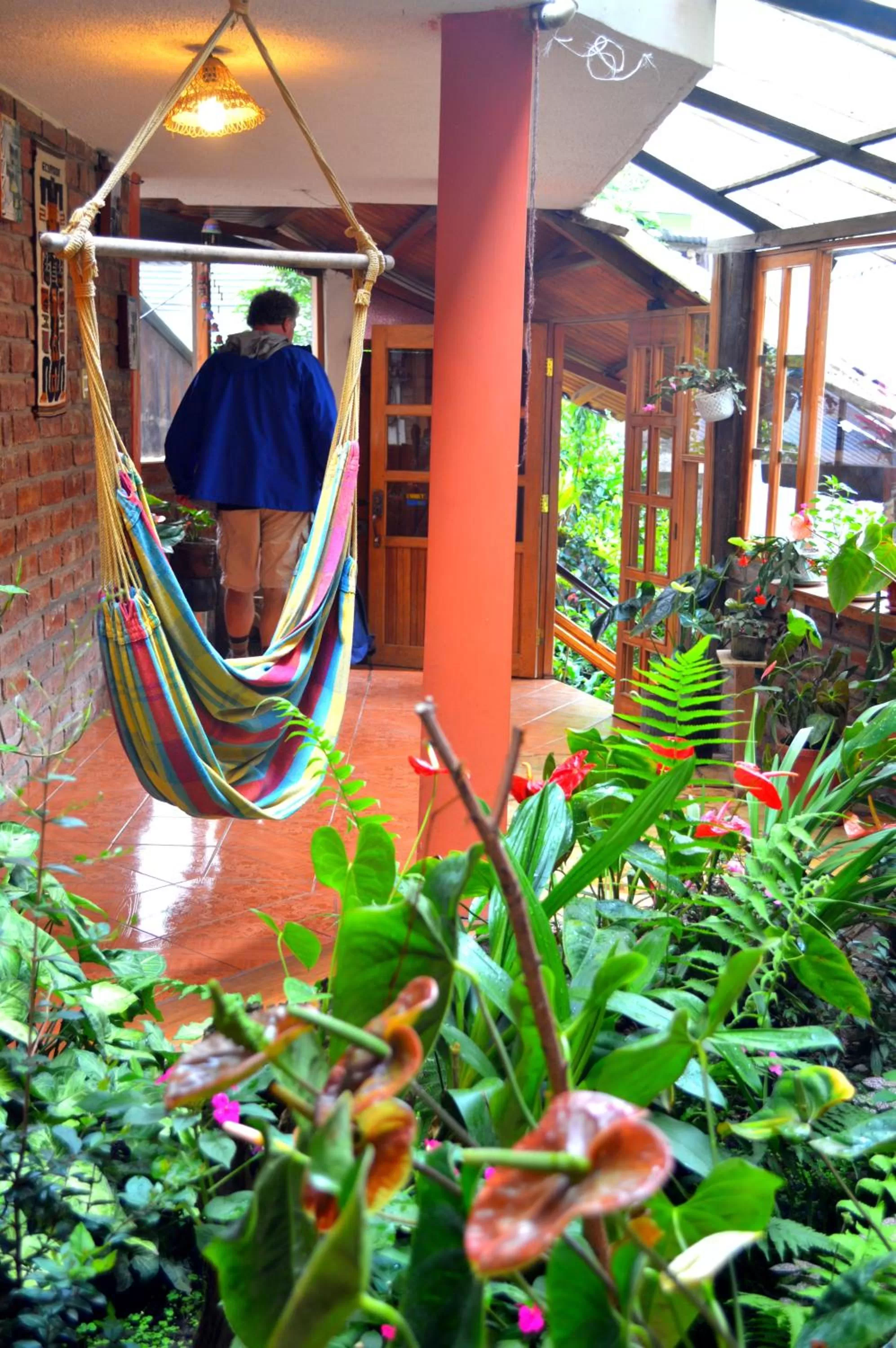 Garden in Hotel Donde Ivan