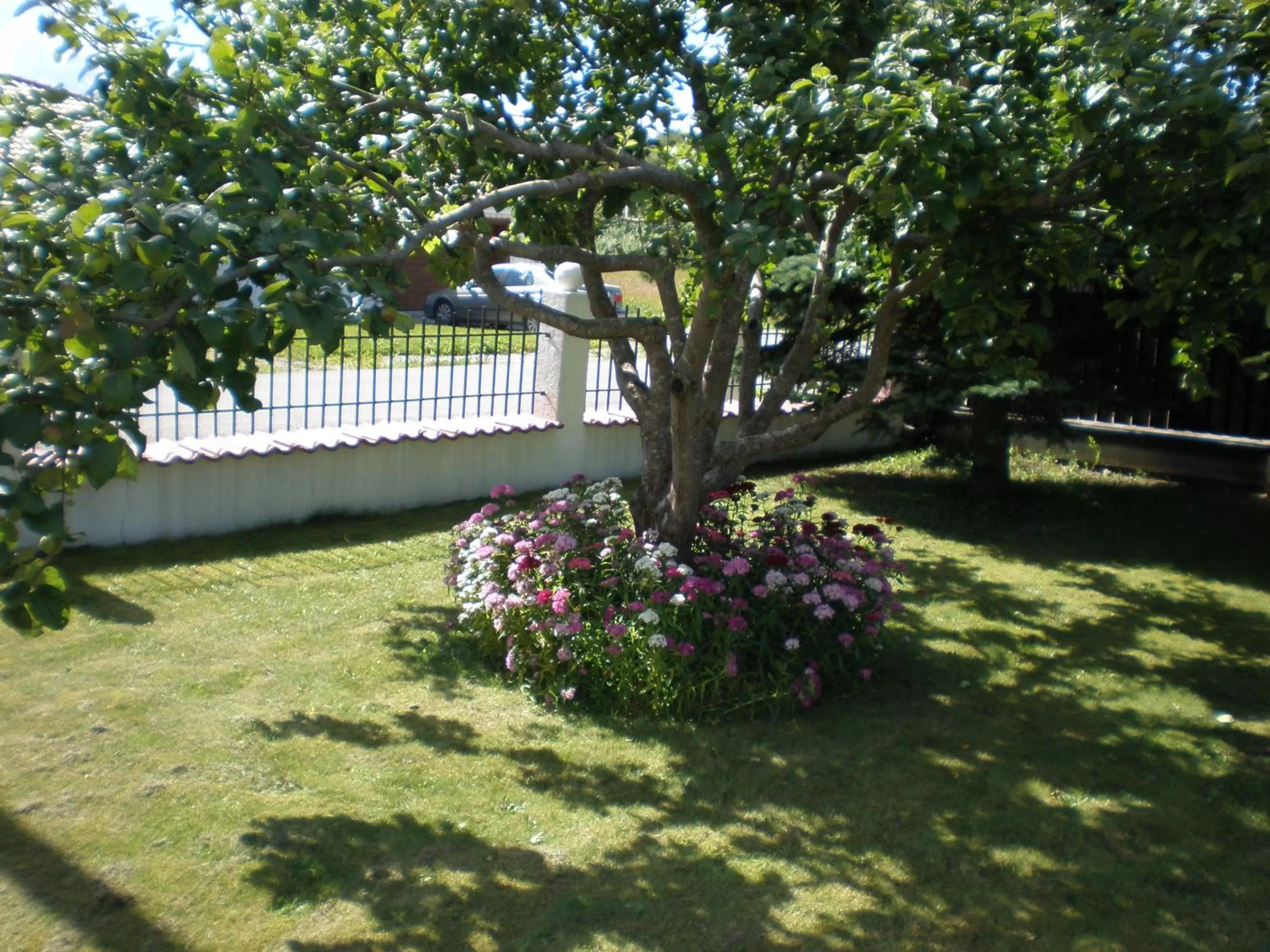 Garden view in Hotel Getliin