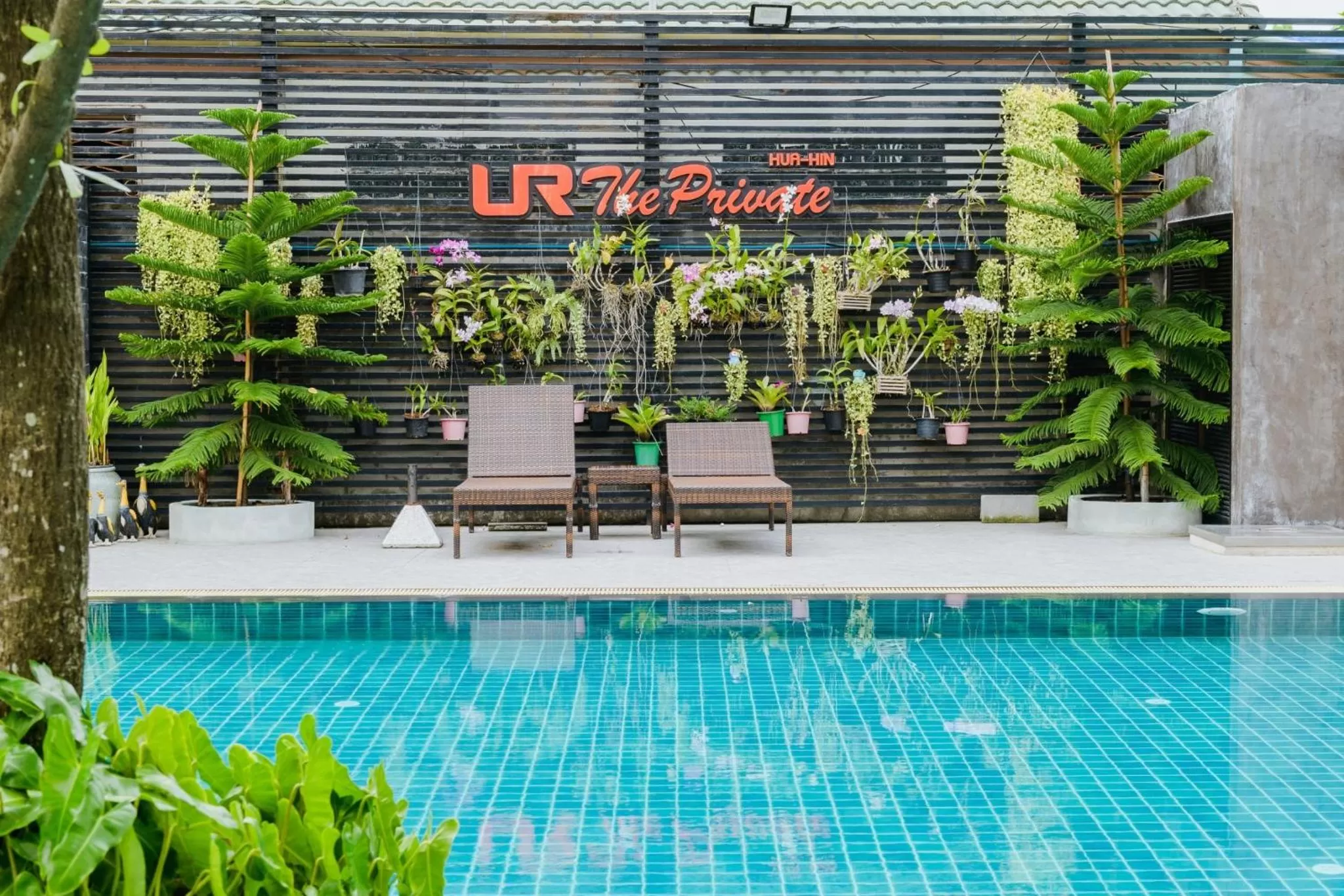 Swimming pool in UR The Private Huahin