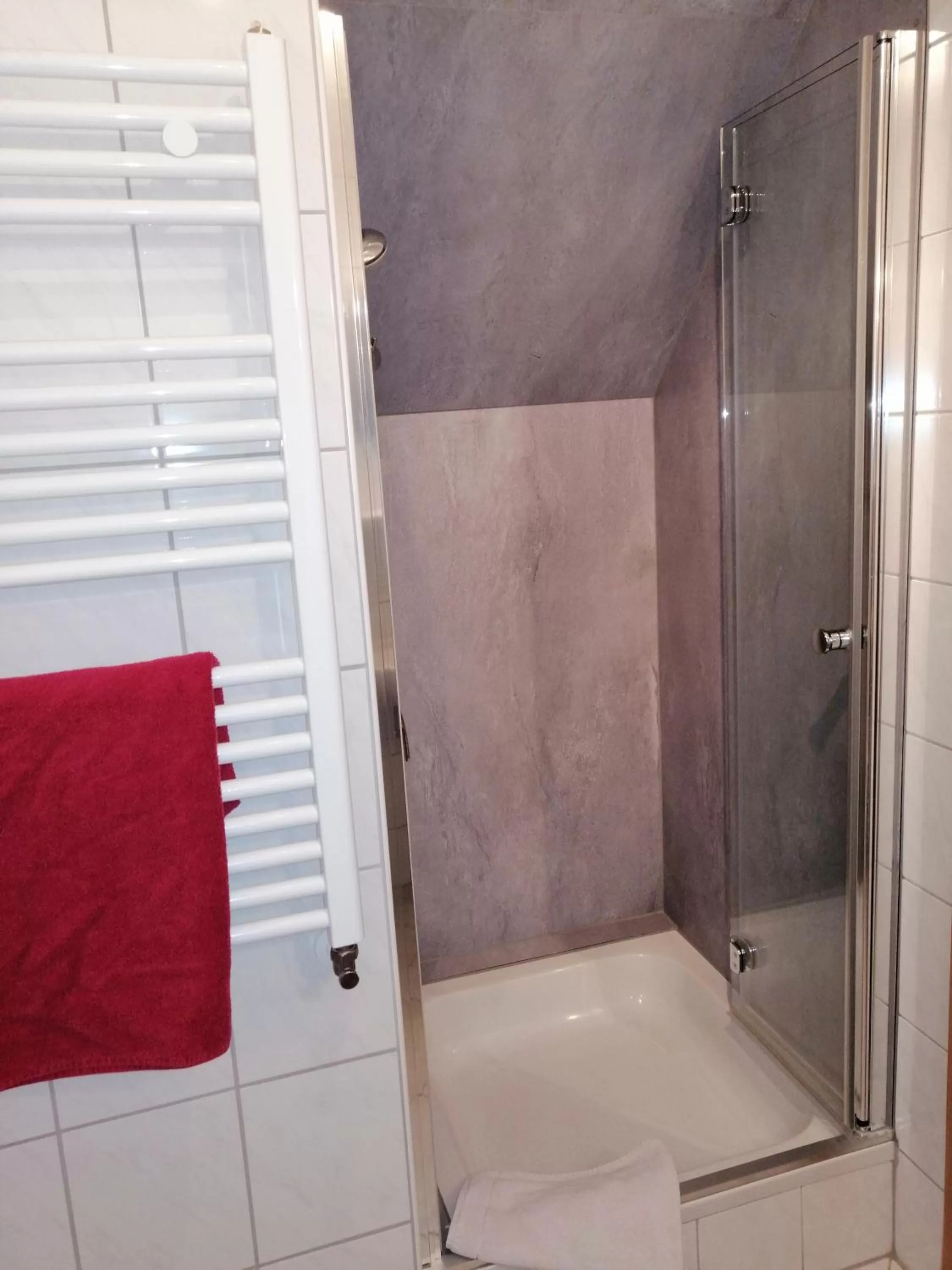 Shower in Hotel Wilder Mann