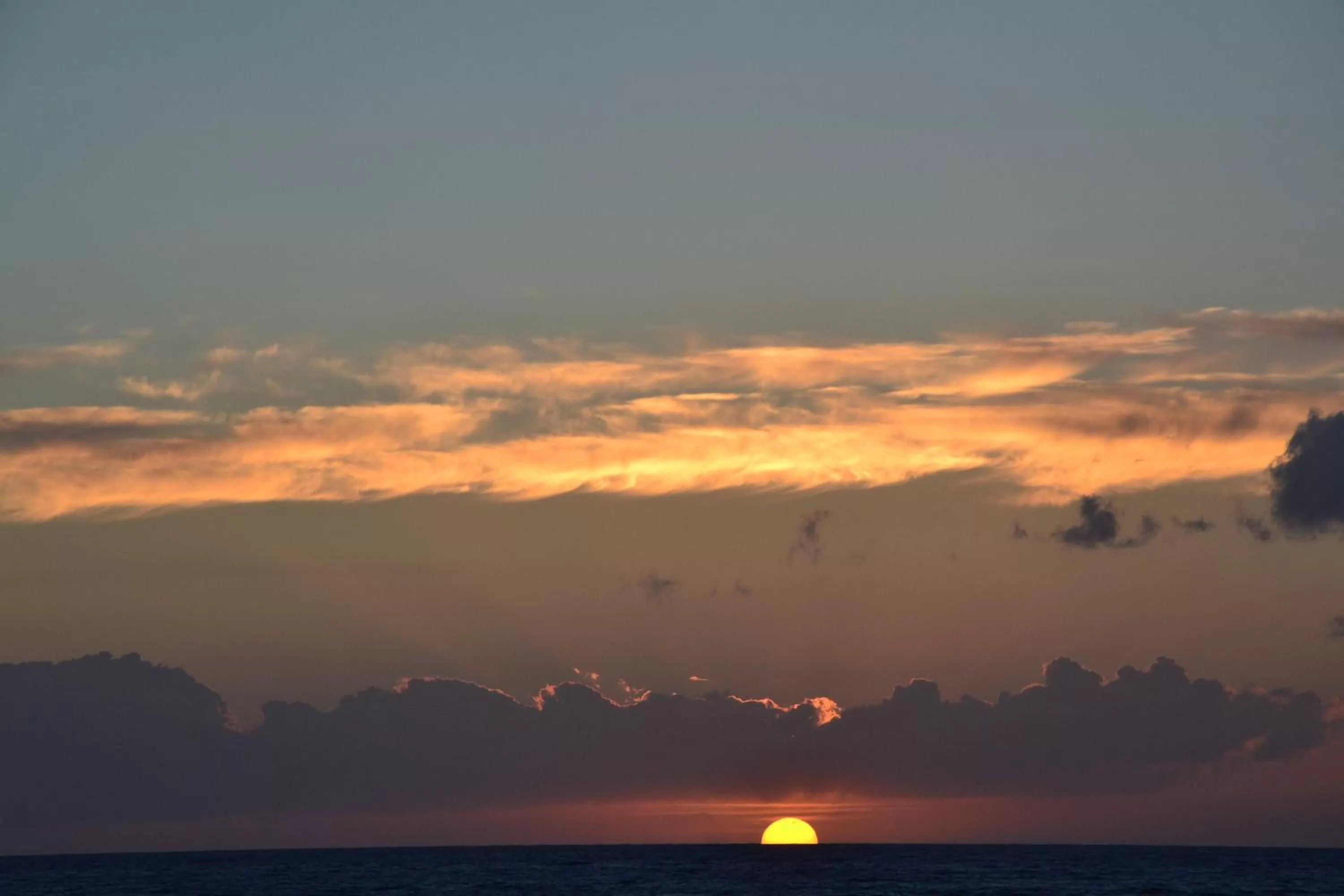 Restaurant/places to eat in Terra Murata Boutique b&b