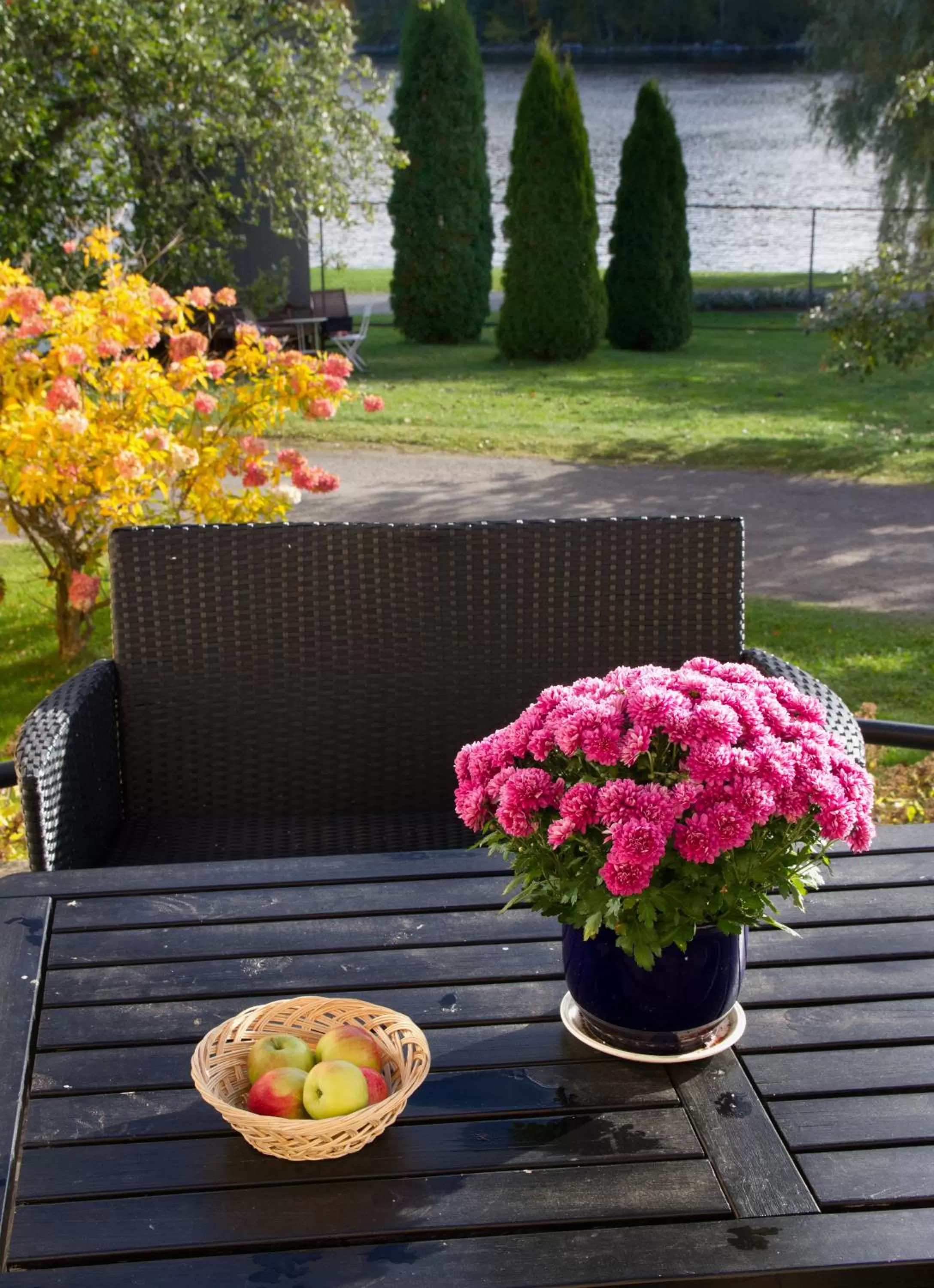 Patio in Lossiranta Lodge