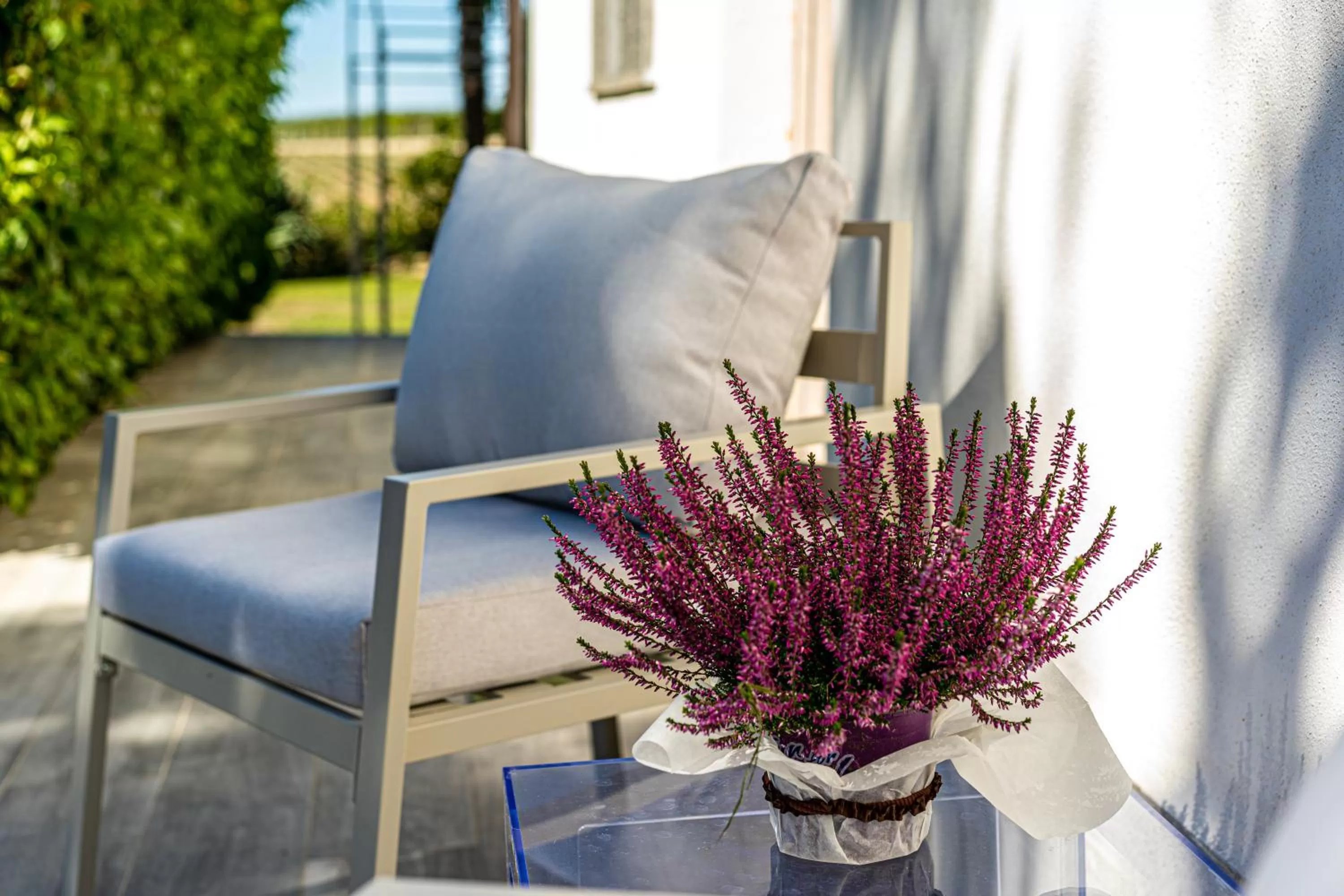 Property building in Terre Etrusche Guest House