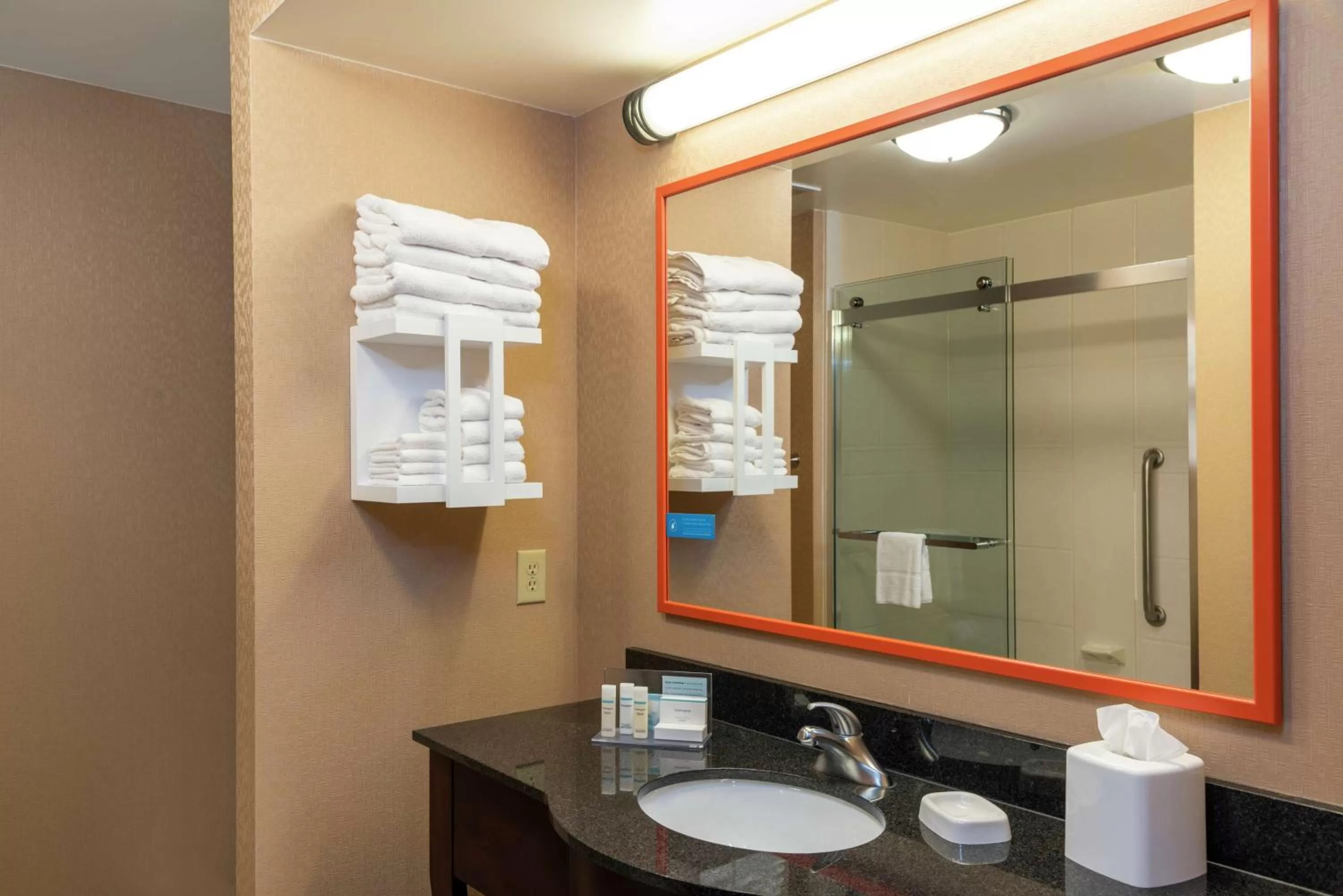 Bathroom in Hampton Inn & Suites Marshalltown