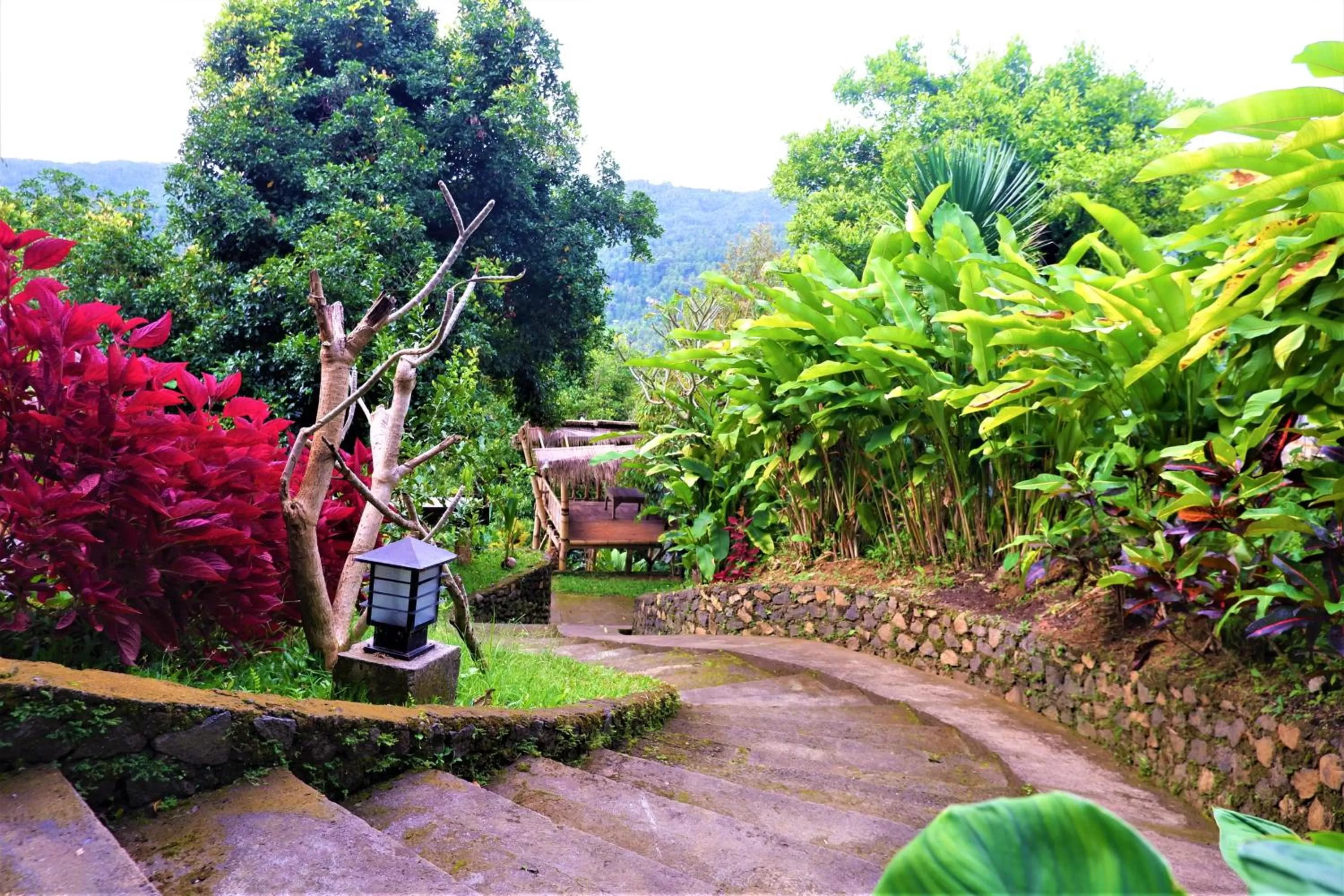 Garden view in Swar Bali Lodge