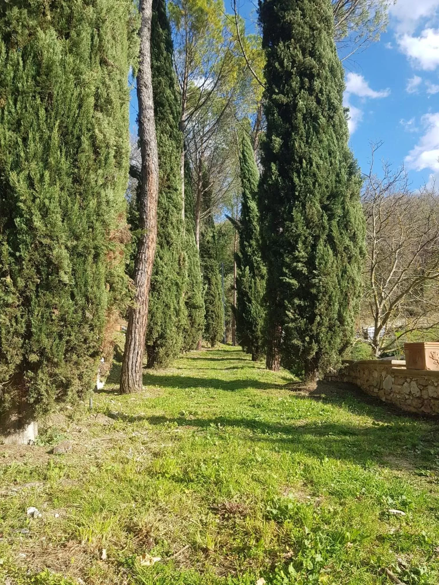 Garden in Domus Antiqua Bed & Breakfast