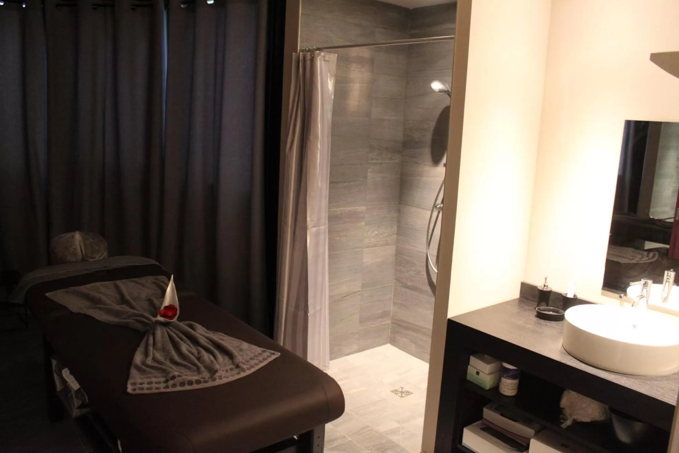 Spa and wellness centre/facilities in Hotel Palladia