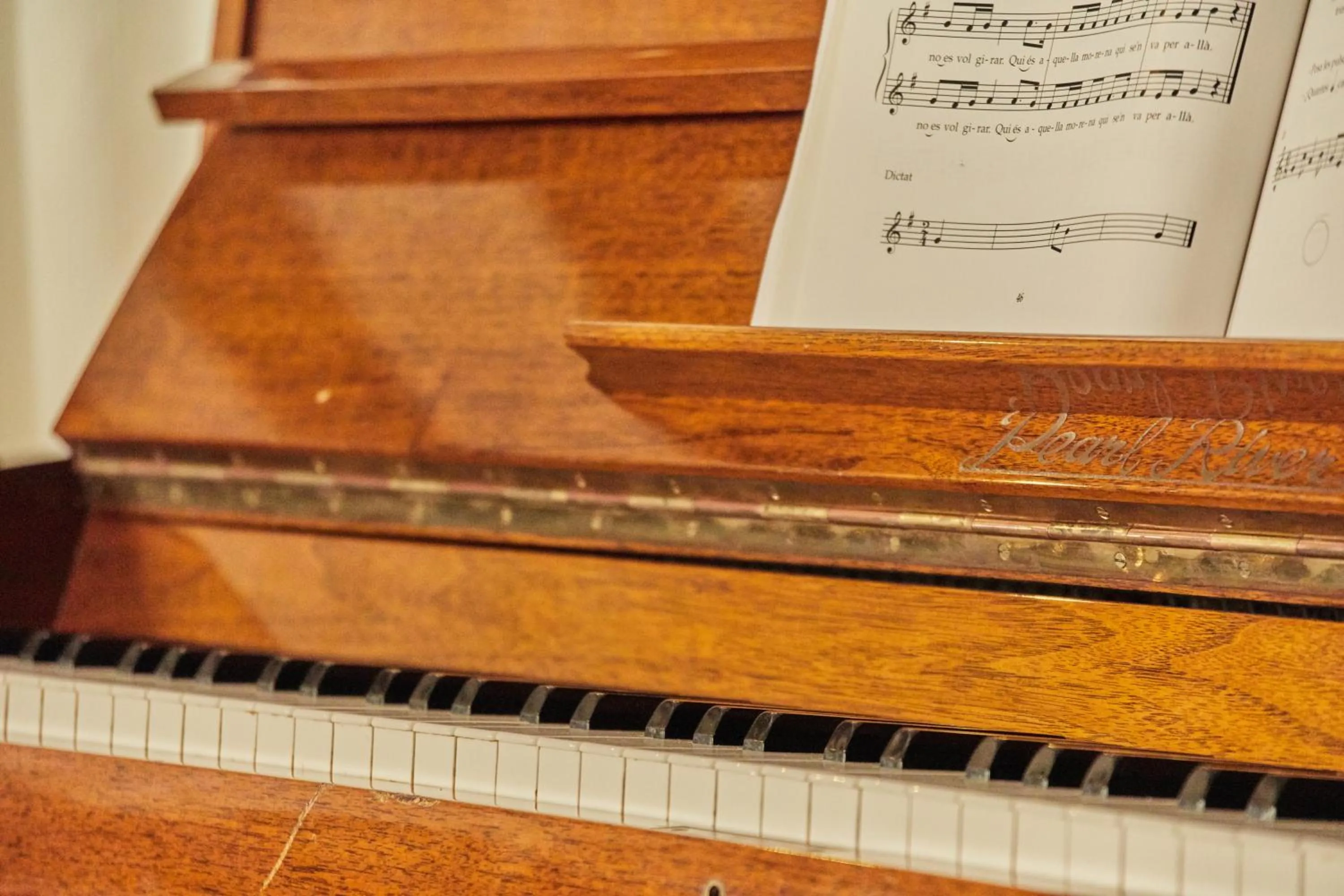 Spring in Petit Hotel Ses Rotges - Only Adults