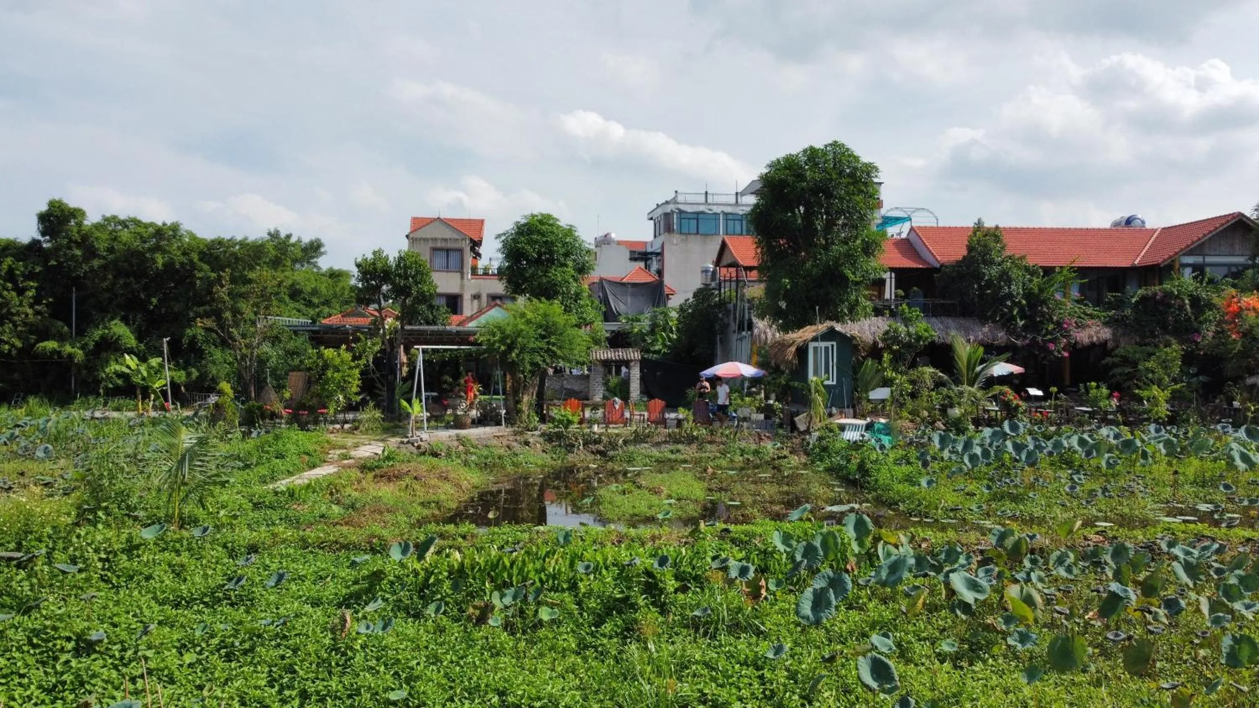 Tam Coc Mountain View Homestay