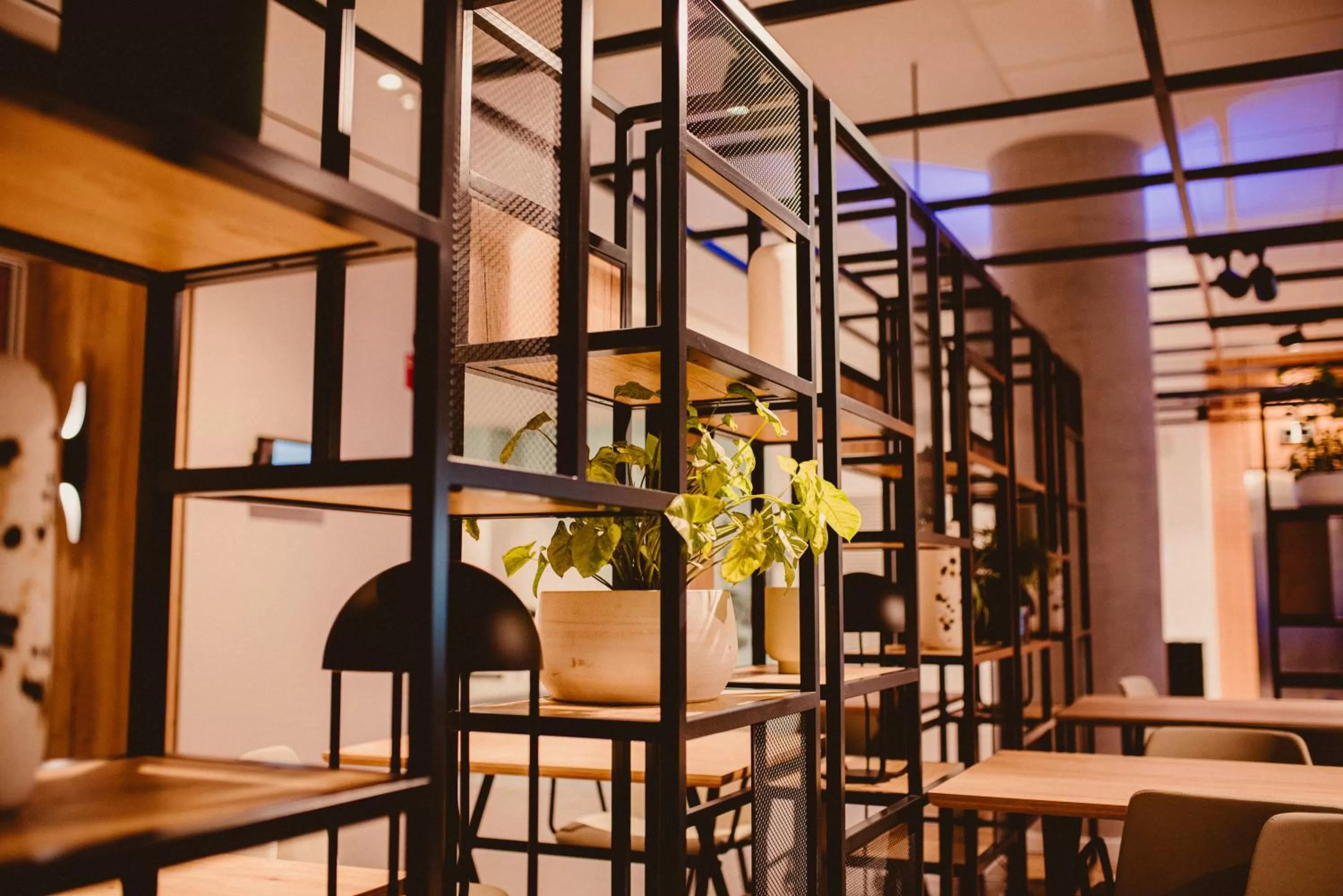 Lobby or reception in Novotel Campo De Las Naciones