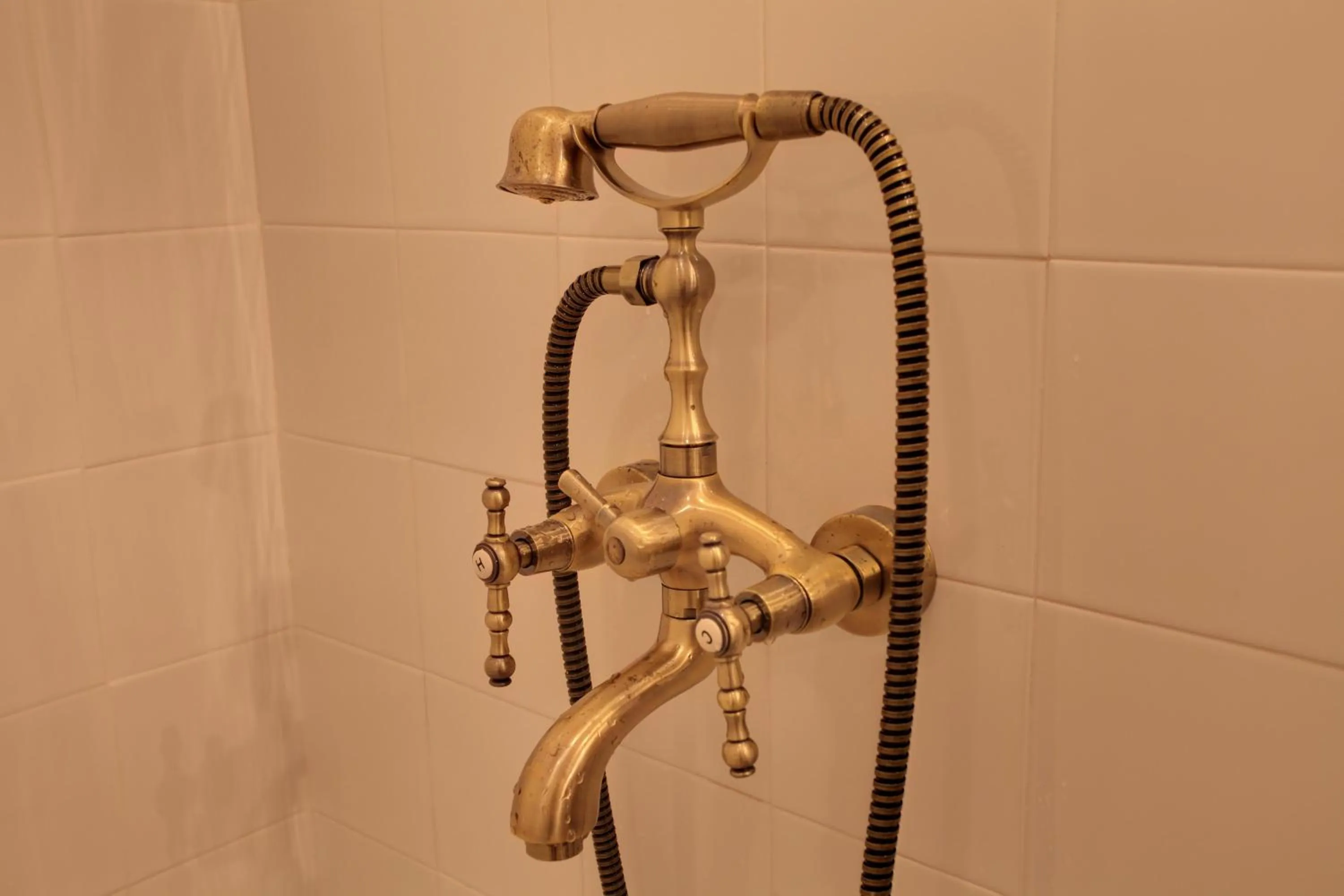 Shower in Hotel Evmolpia