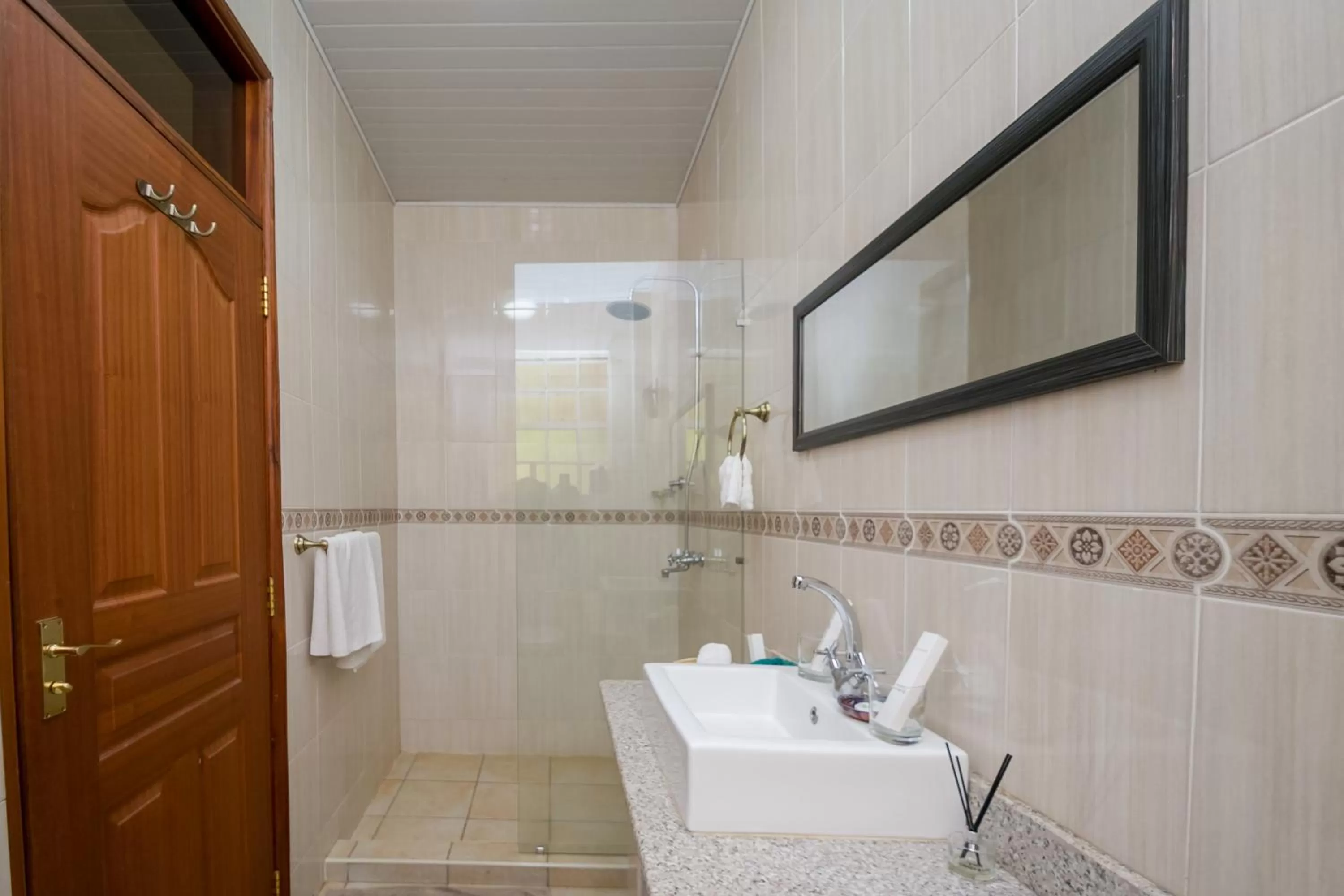 Shower in Hotel Rudi