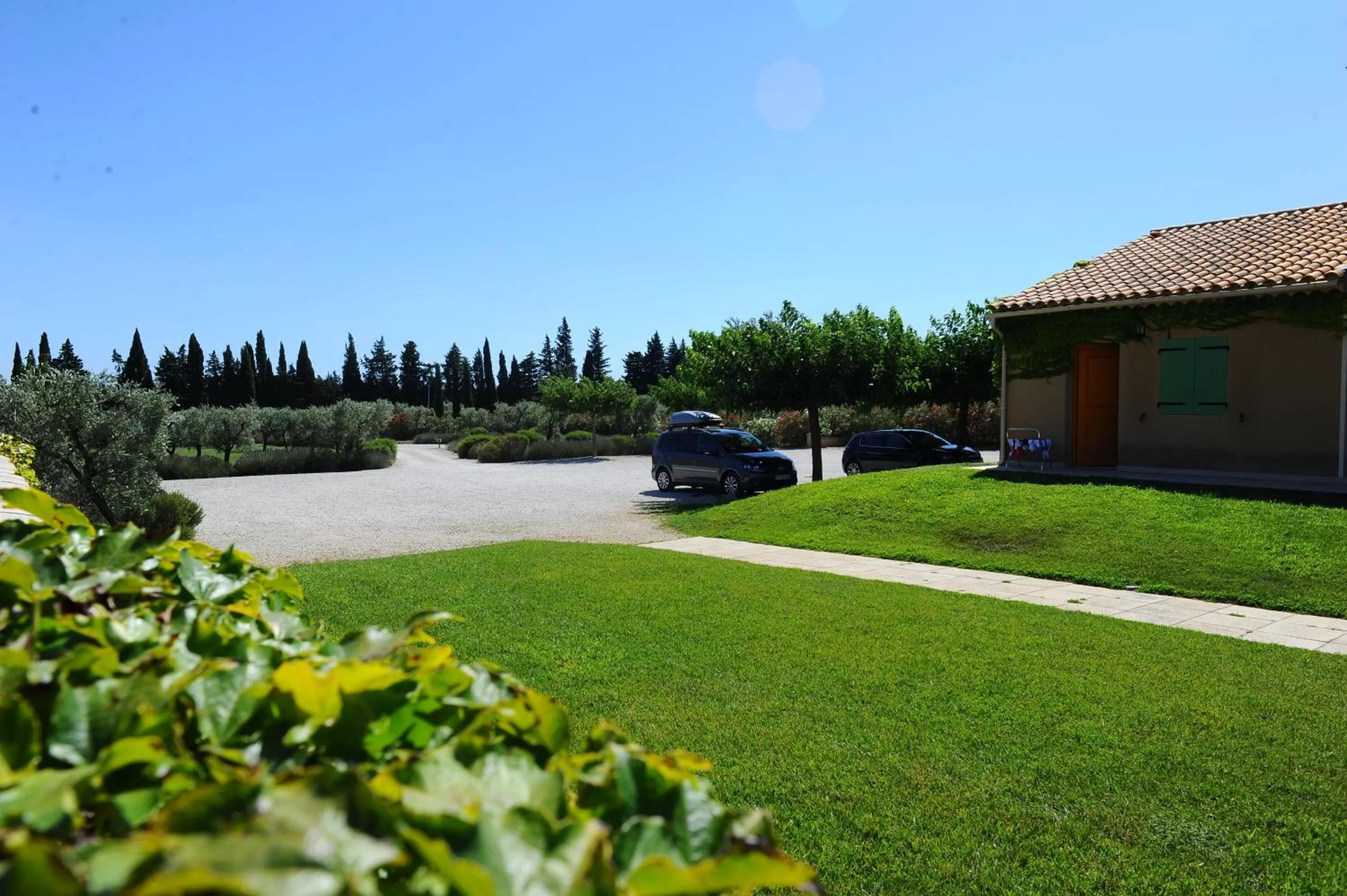 Garden in Hotel Terriciaë aux portes de Maussane les Alpilles